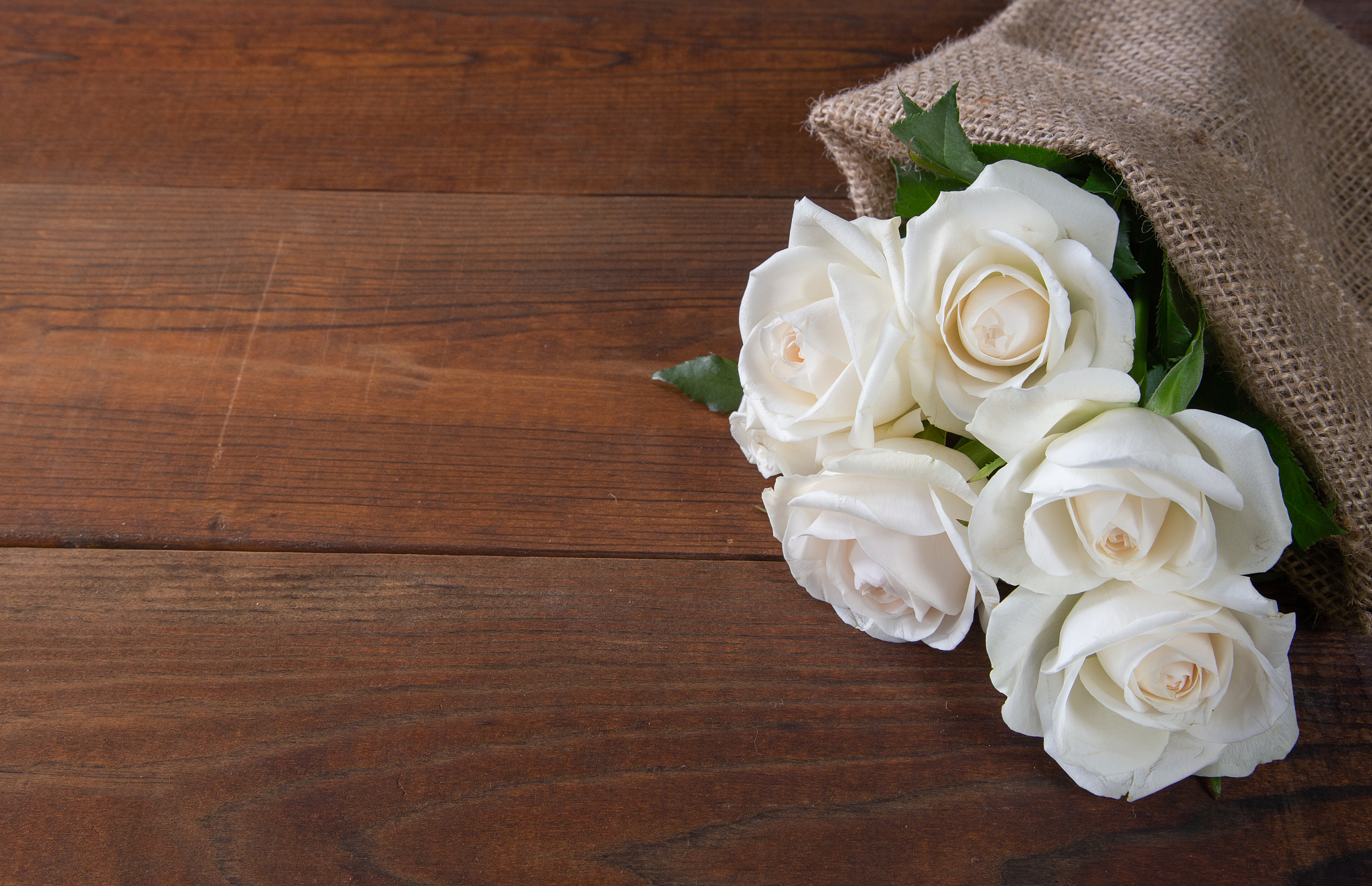 3月有什么特殊的日子