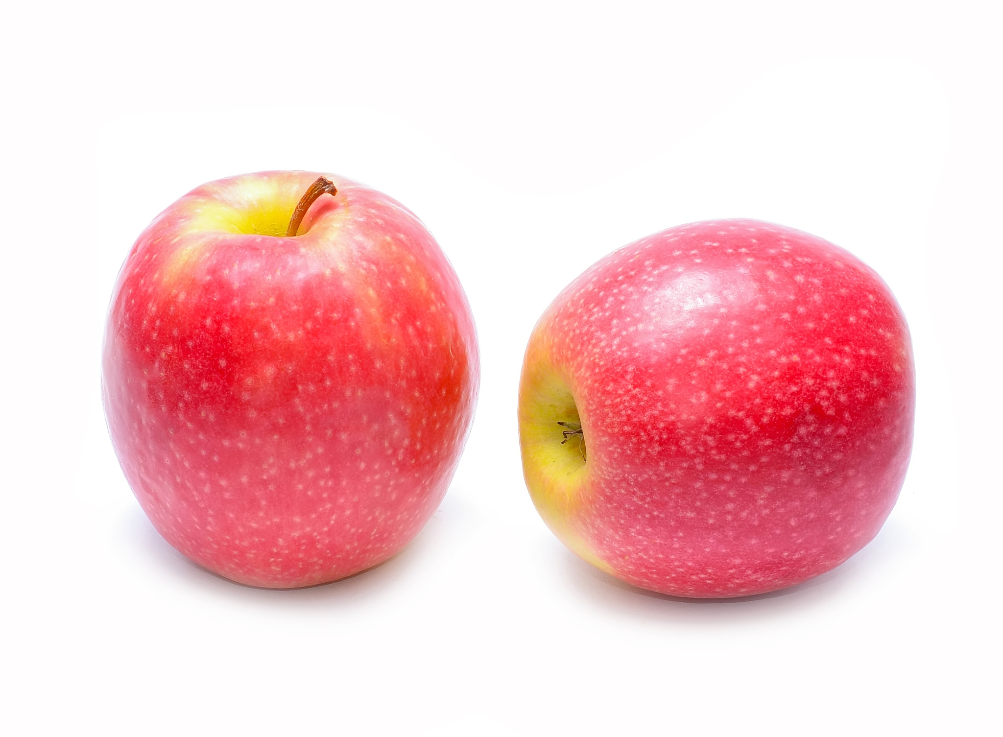 apple pink lady