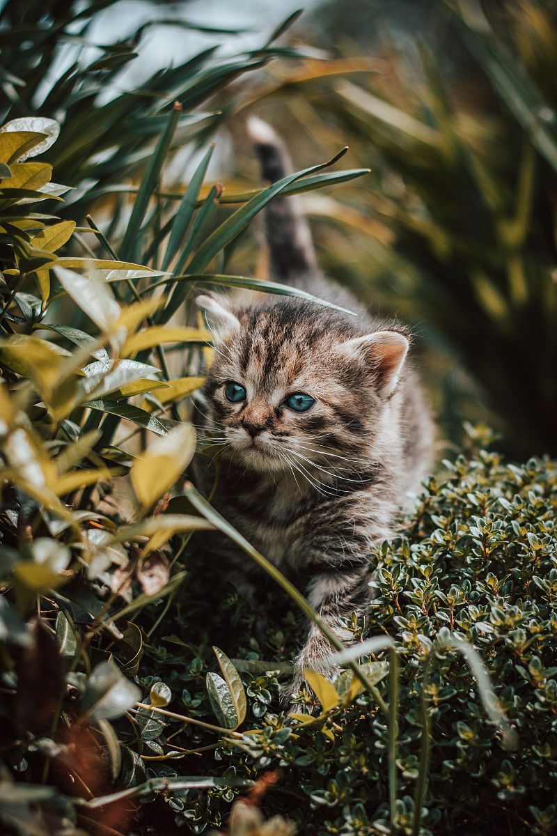 梦幻西游游戏名字慵懒