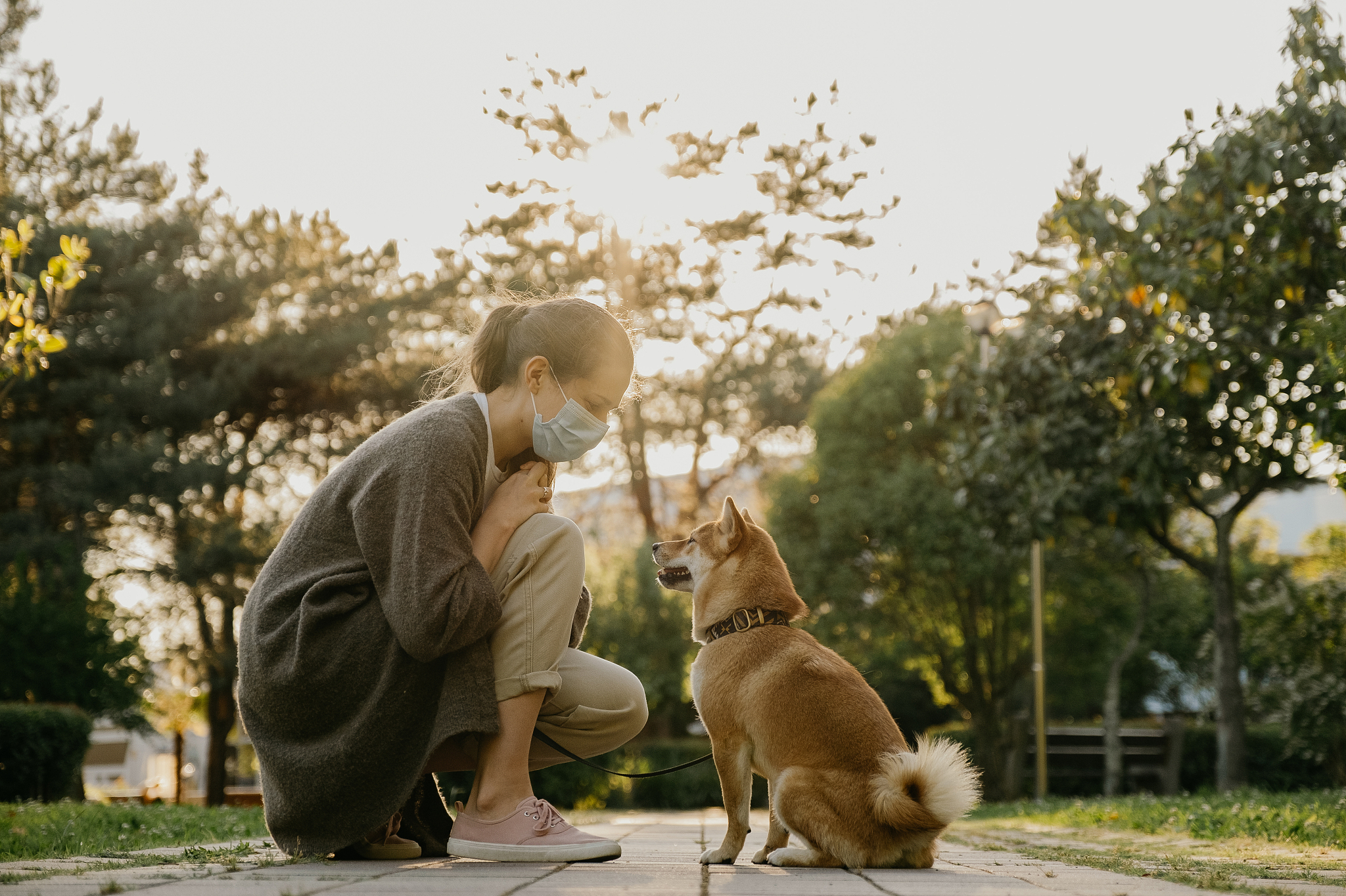是的他们在年初的时候搬走了。这里只有我和我的狗。