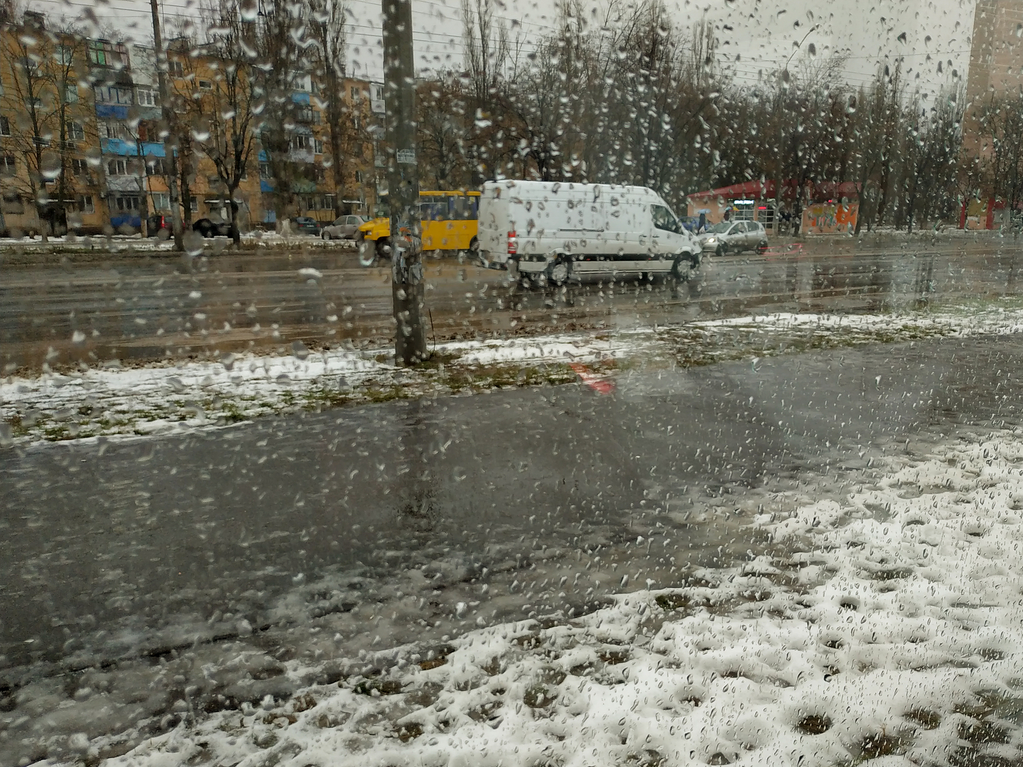 优化一下要简洁要补充逻辑：滨河东区道路柳絮问题严重天天刮的睁不开眼有的小孩还过敏因此产生的火灾也时有发生以往的案例很多都是血的教训还影响城市环境别的地方都没有就这条路上太多了。