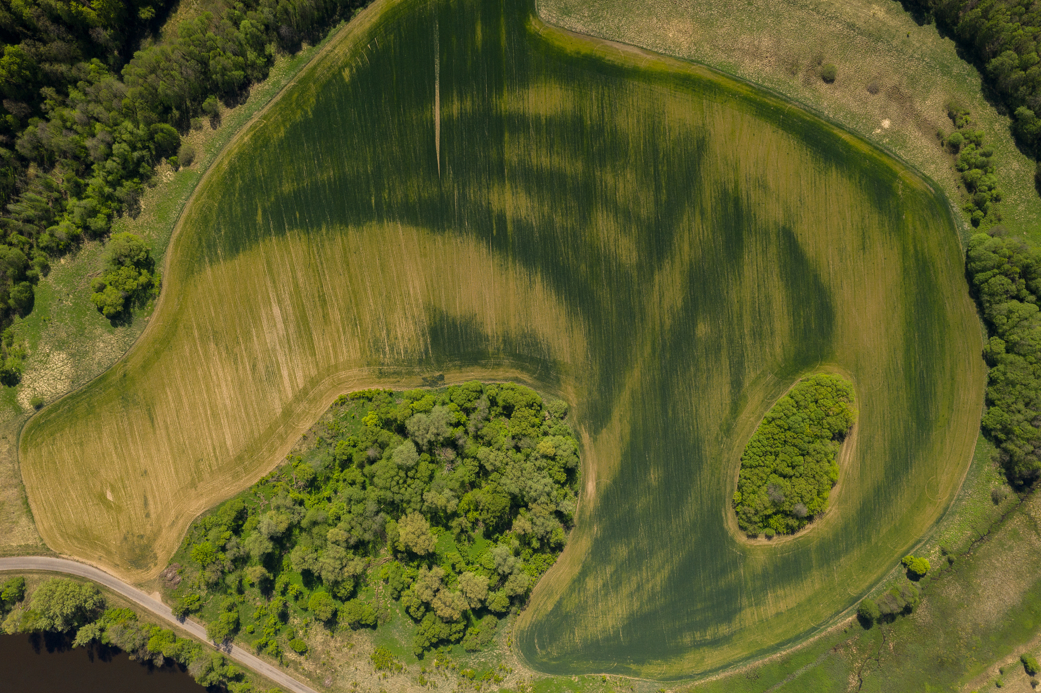 drone top down view mowed meadow and a few small forests
