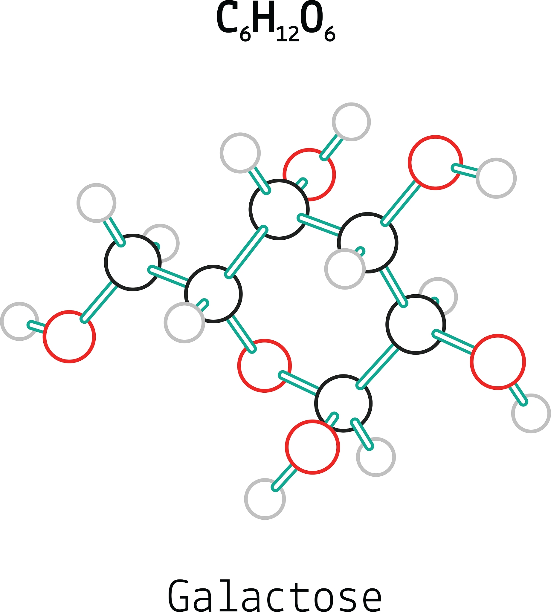 帮我改写润色文章尽量用高级写作词汇。The structure of D-Lac was calculated using the Alphafold2 structure prediction algorithm2 calcium ion binding site prediction and docking using metal ion-binding site prediction and