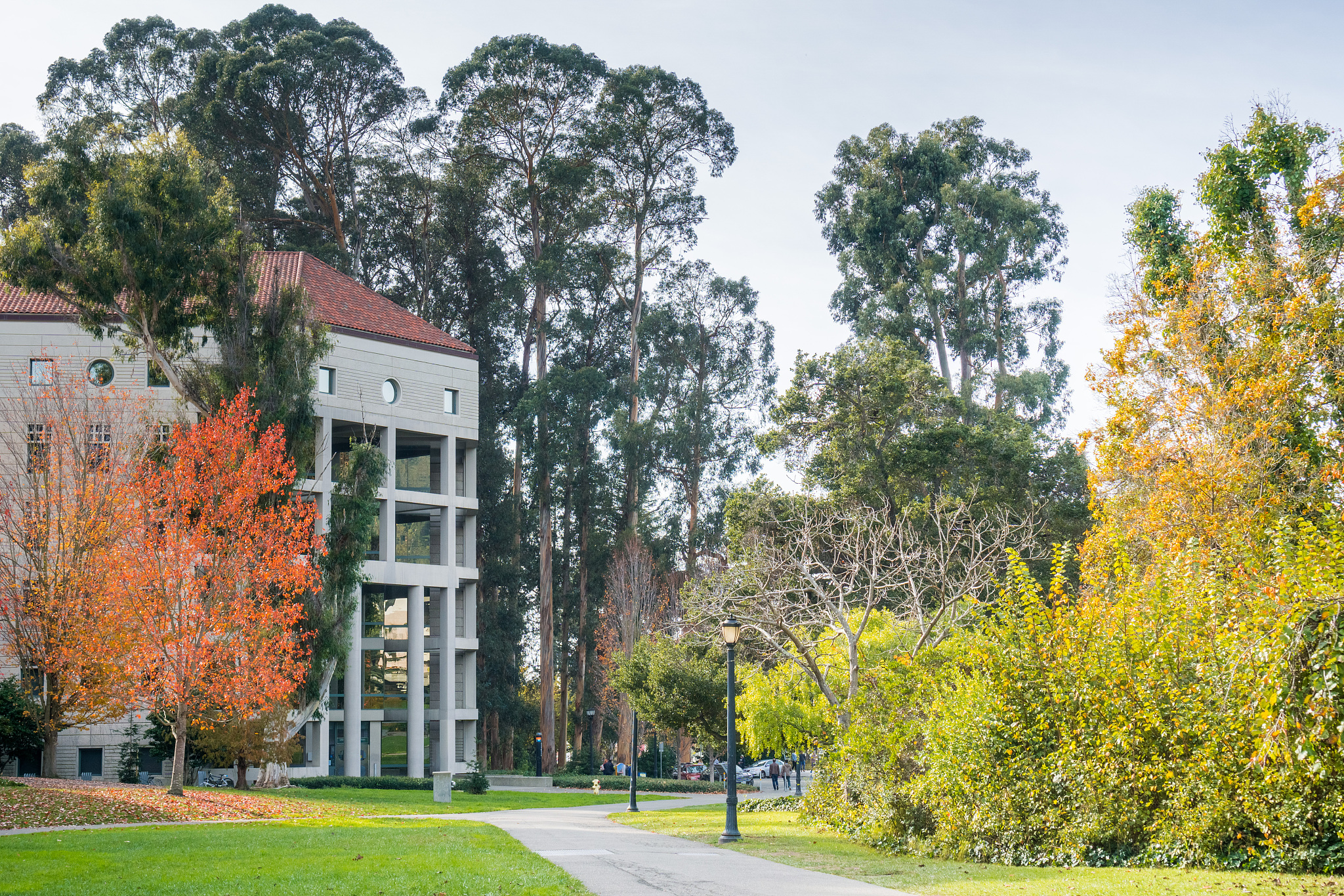 landscape in the campus of uc berkeley