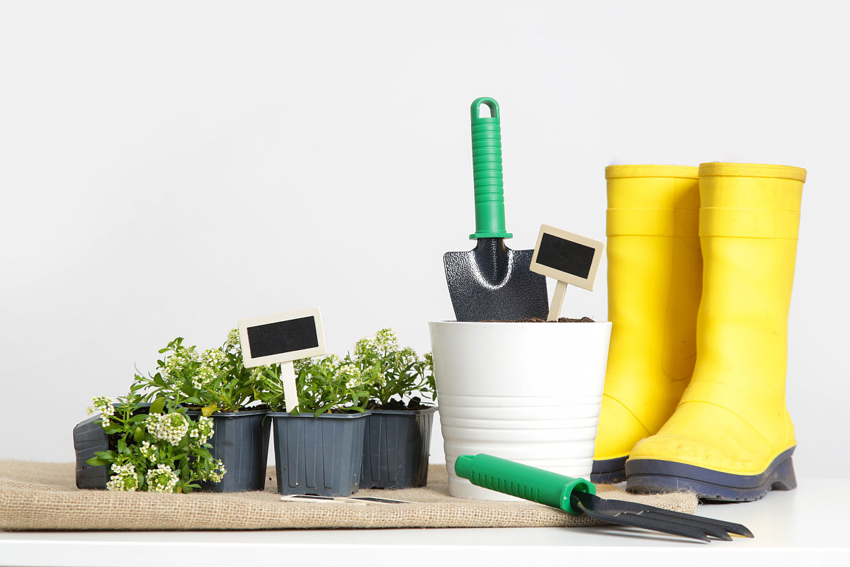 Garden Supplies: High-Quality Gardening Products & Tools | Shop Now