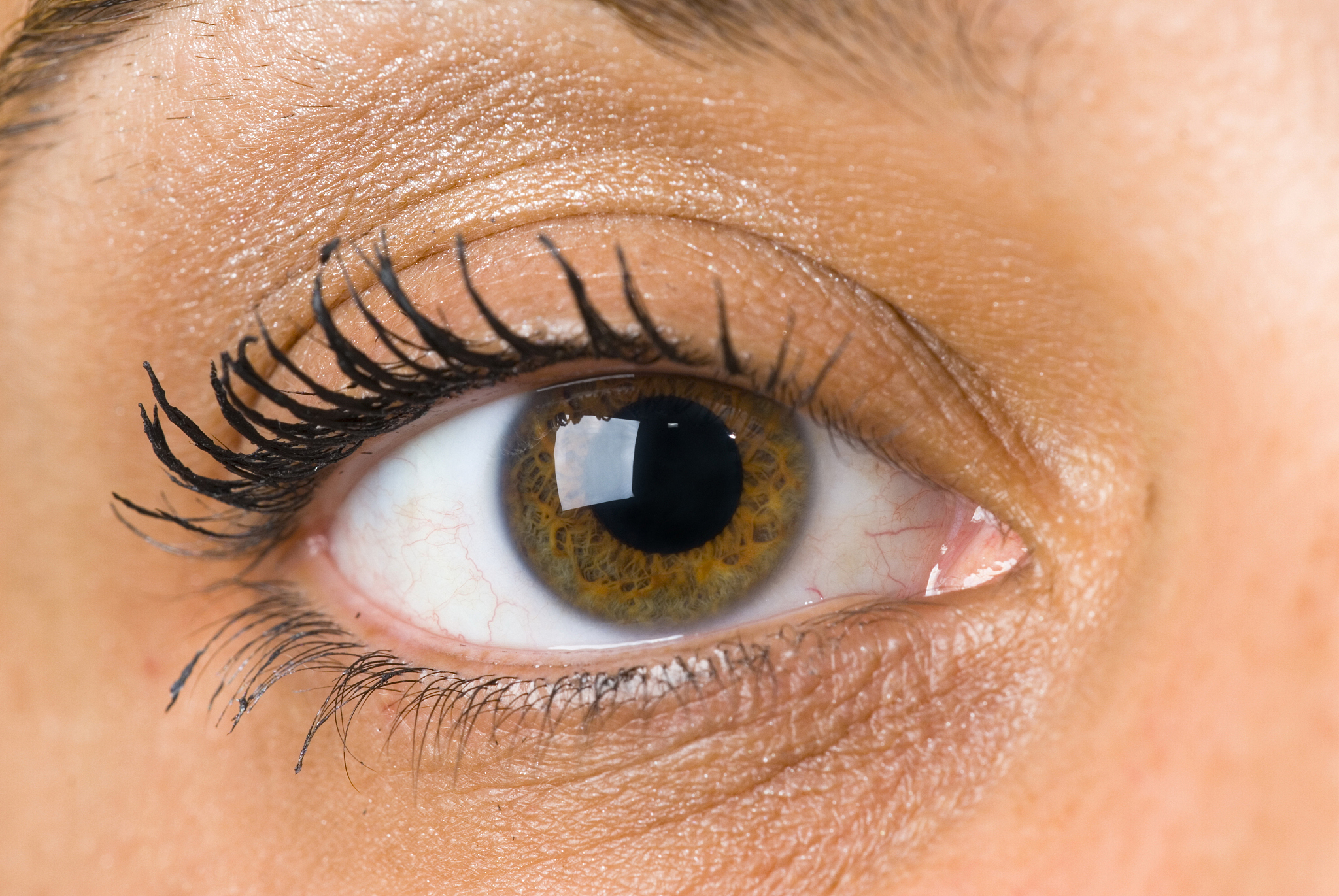 eye