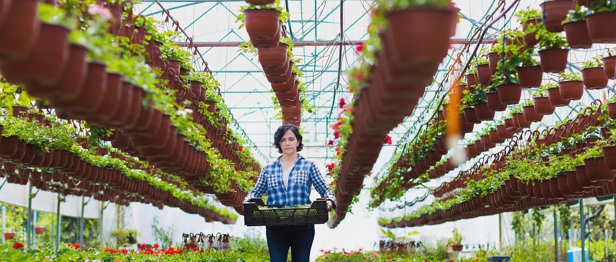 昆明农业学校园林专业招生 | 学习园艺技术,成就你的绿化梦想 昆明农业学校园林专业招生 | 学习园艺技术,成就你的绿化梦想
