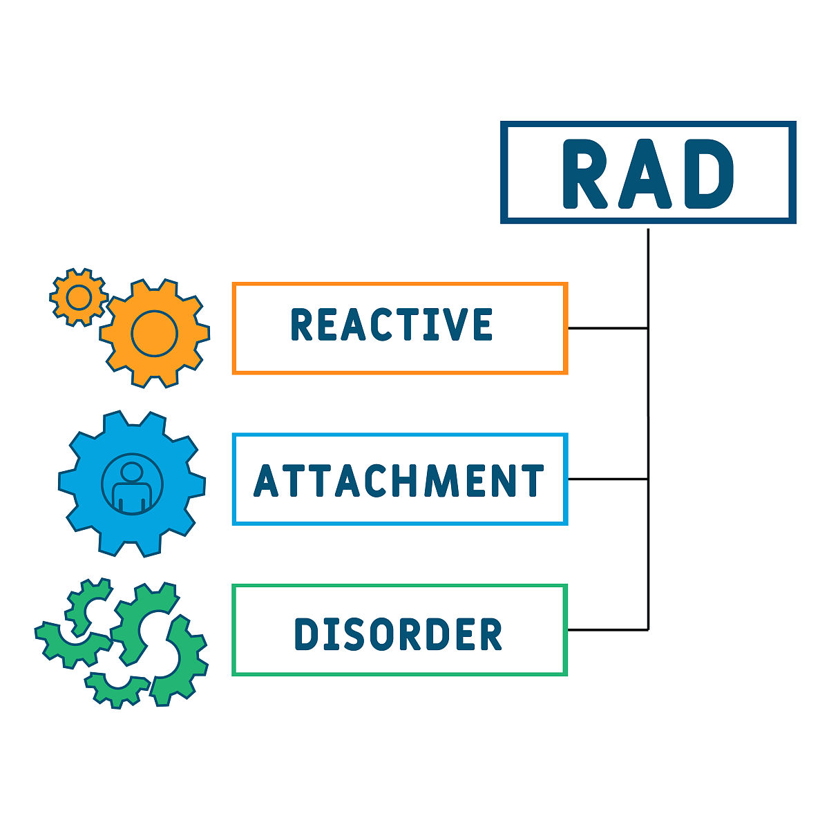 迈瑞感谢Prof. Fabrice在产品优化和培训教育方面的支持