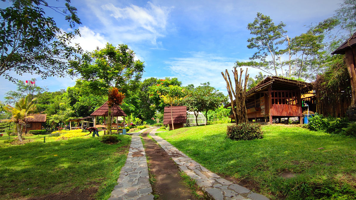 观光农业经营专业发展前景如何？