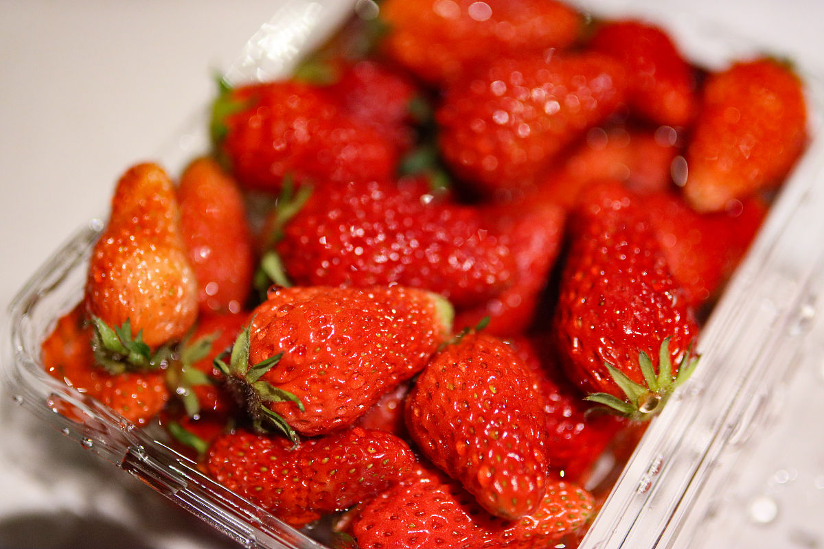 做一个去从成都-拉萨-青海湖的自驾游25天自驾游攻略。推荐每天住宿的酒店名称标注住宿地方的海拔高度每天价格300以内要求评分48分以上。推荐每天吃饭的地方要有具体的名称菜名住宿的地方要注意海拔高度住宿的地方海拔要逐步上升每天自驾的时间最好不超过4个小时标注出每天自驾的公里数以及途径的最高海拔高度。推荐出沿途值得玩得景点并且介绍其特色怎么游玩合适。