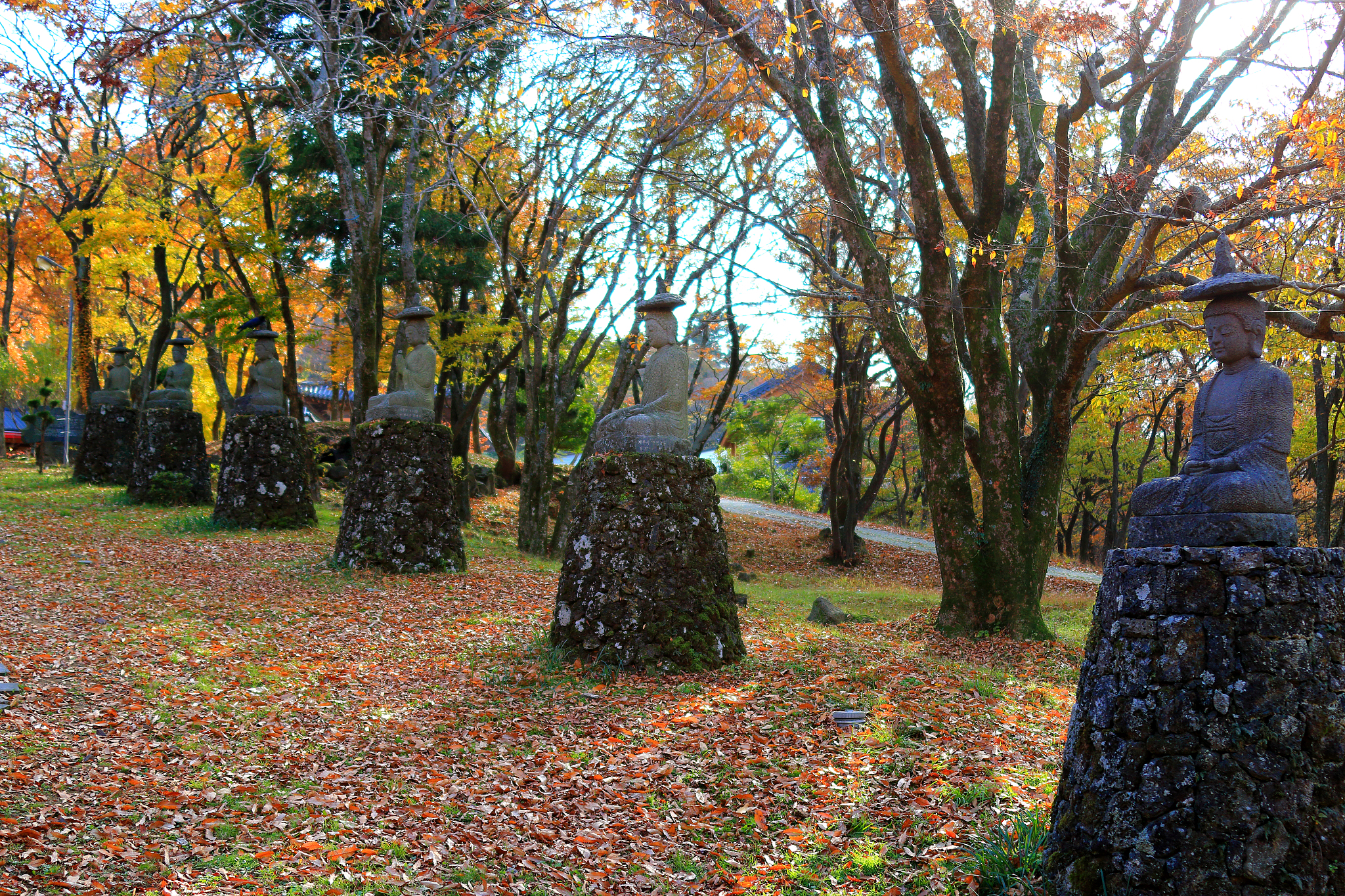 gwaneumsa, autumn, autumn leaves,