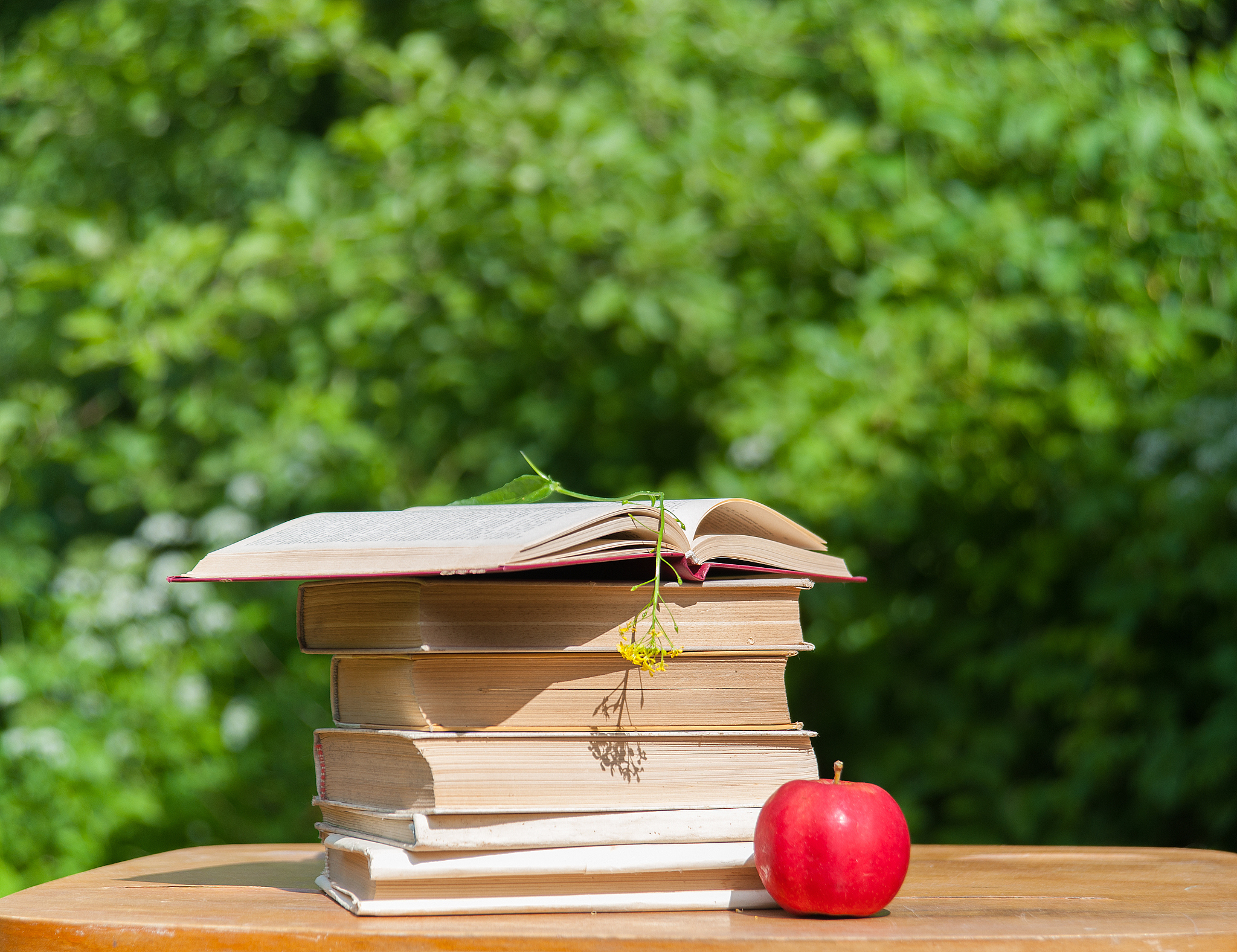 请写一篇《结束过去开辟未来》的300字左右的读书心得报告可以结合参考文献