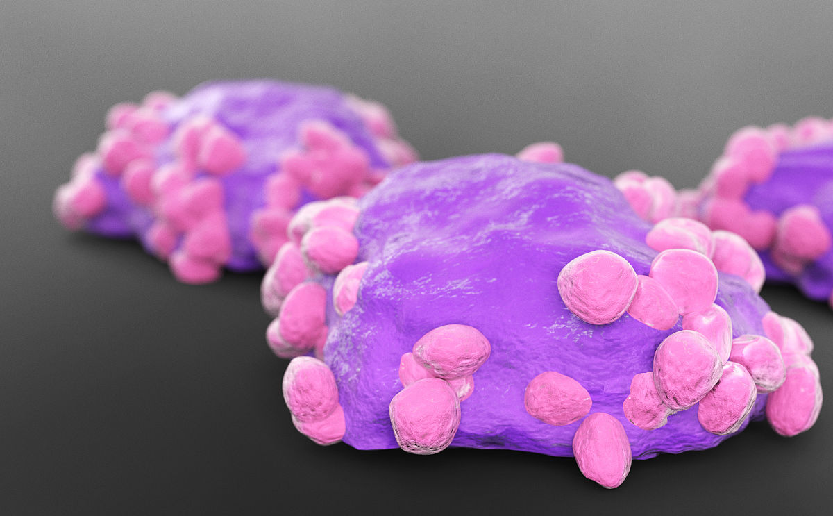 重生细胞手游更新日志