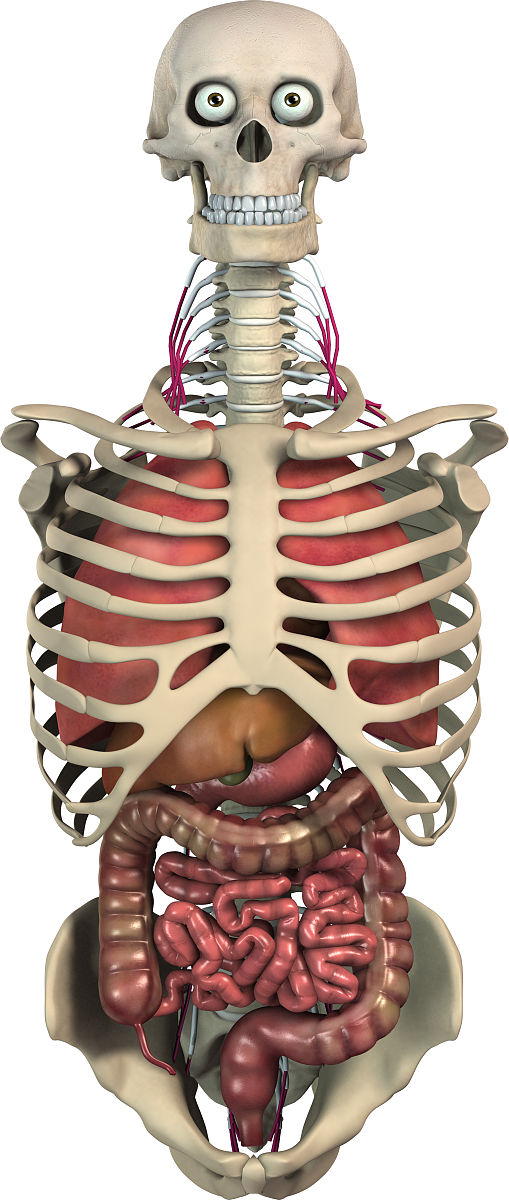多器官评价方法和单一器官评价方法的应用场景分析