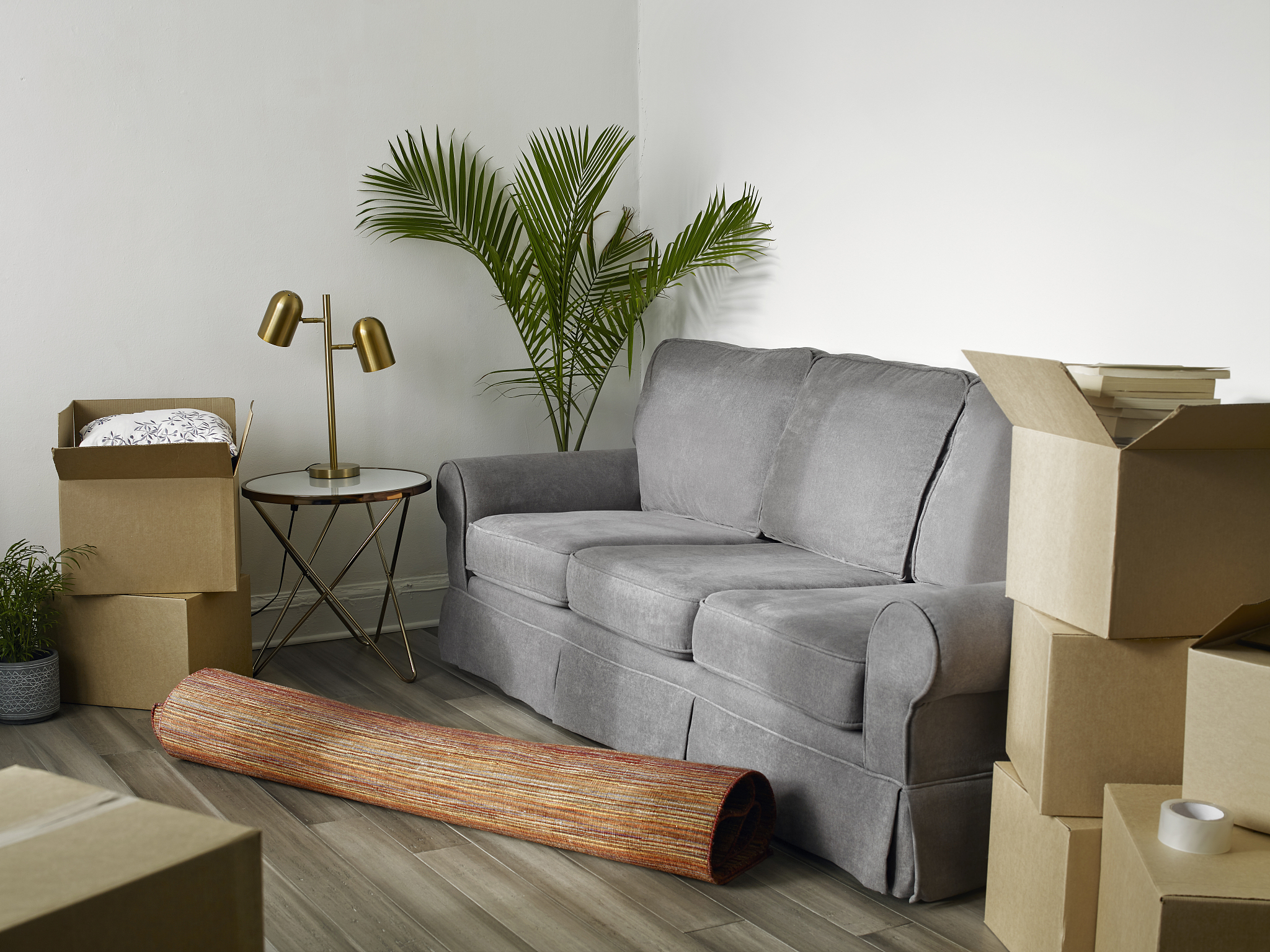 living room with cardboard boxes