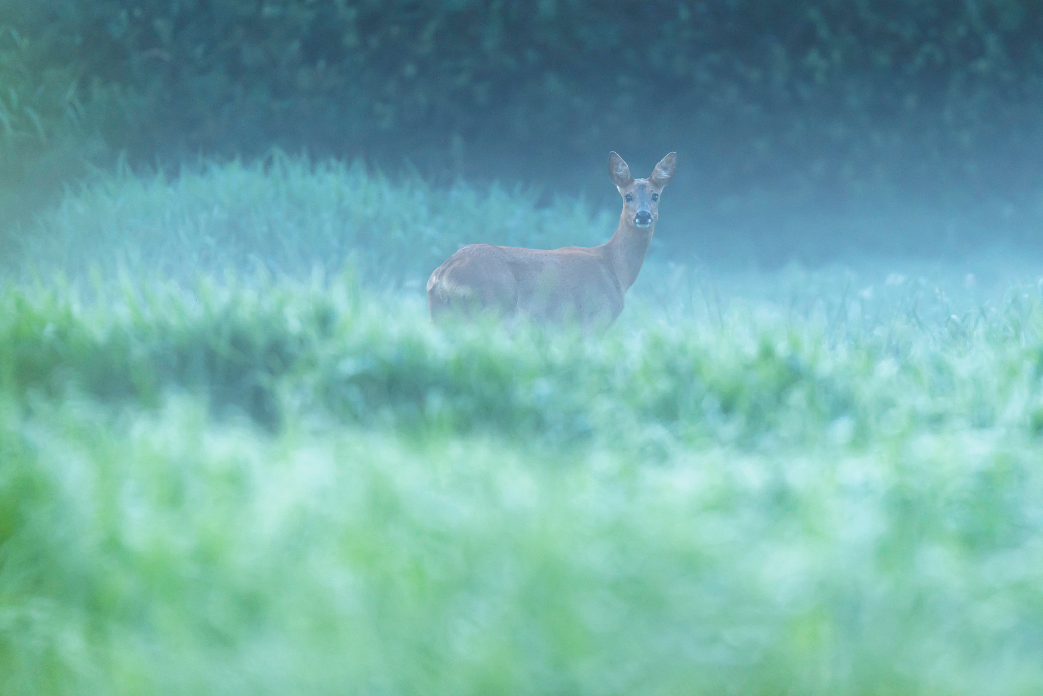 陕西省电子信息学校资源环境类专业介绍