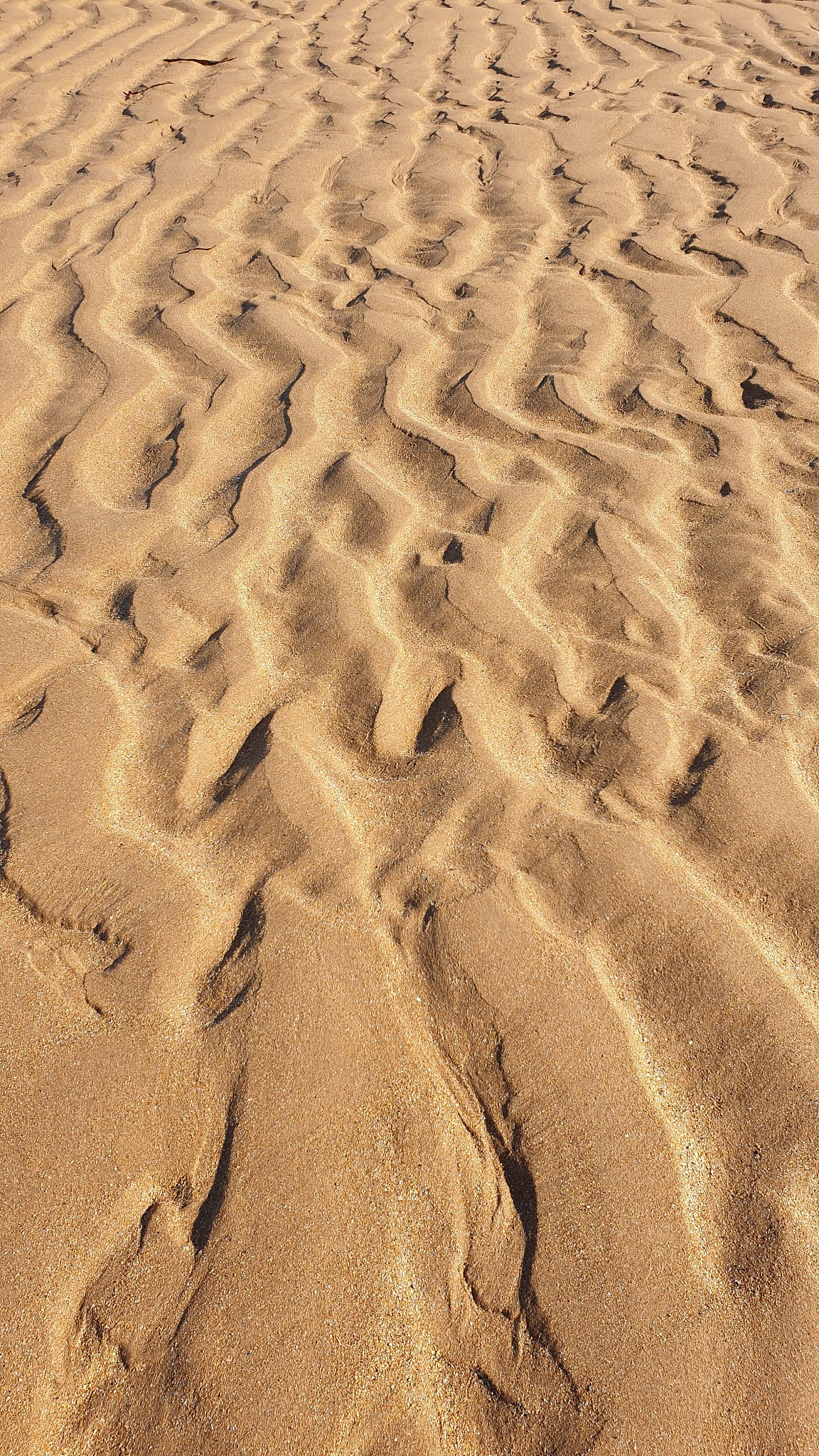 lines in sand