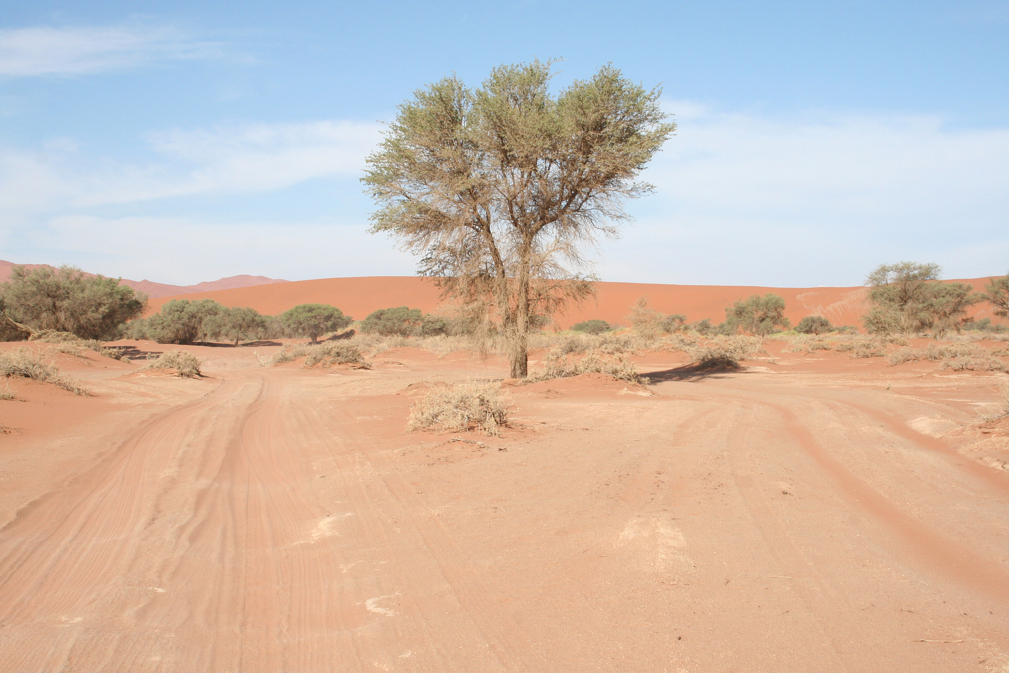 安然纳米胶原蛋白钙片可以改善皮肤纹理吗？