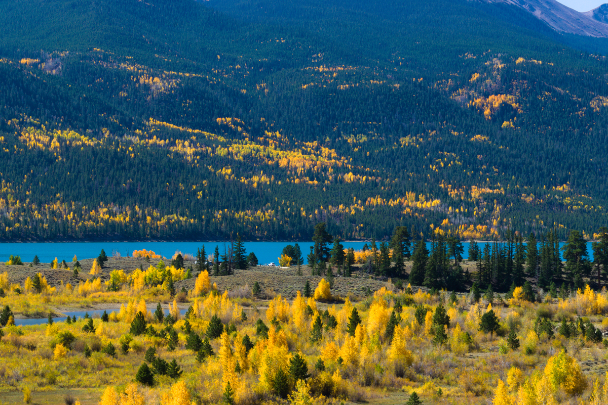 新疆五天四夜旅游攻略：探索神秘边疆的绝美之地
