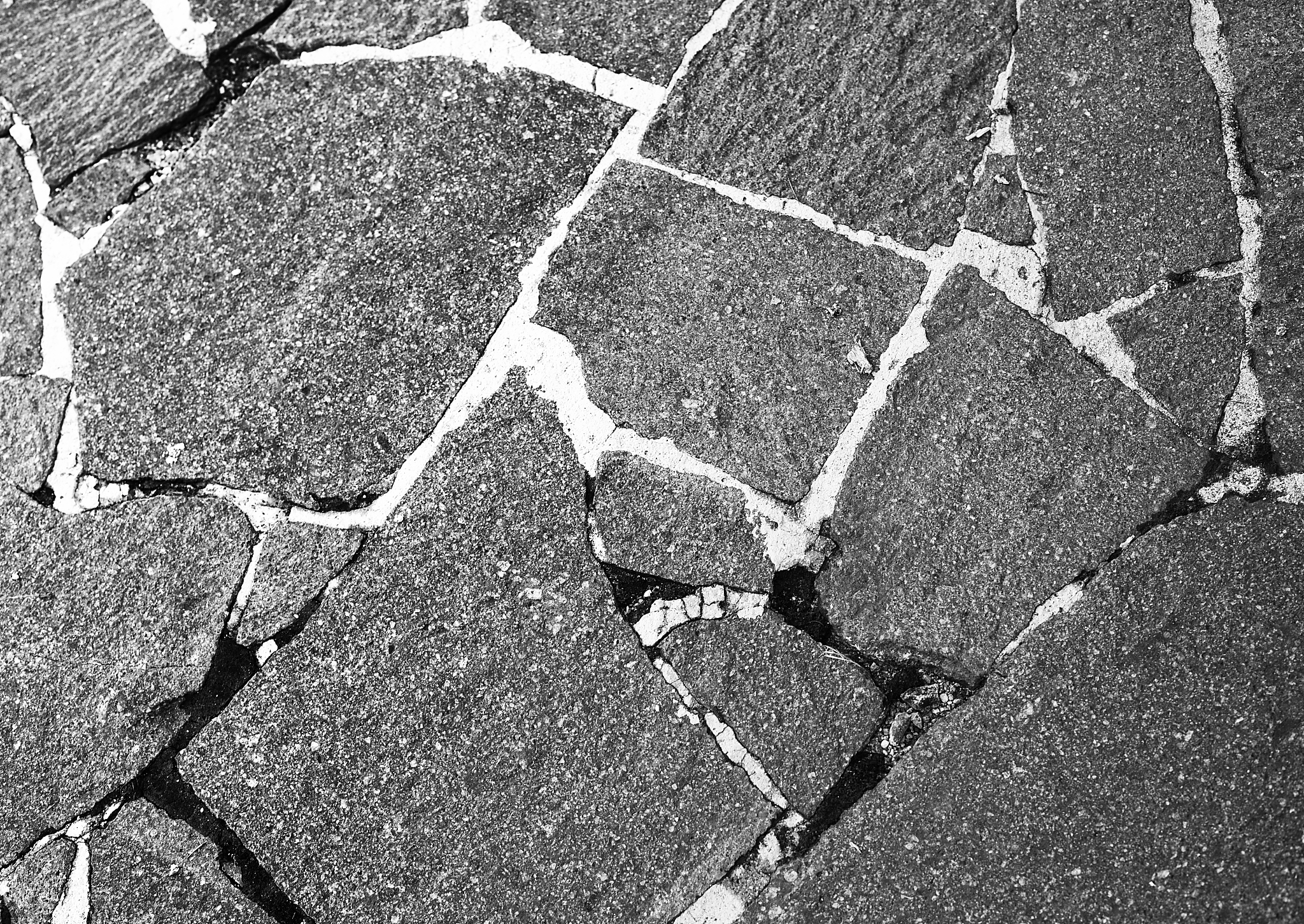 五老精神指引中华民族伟大复兴