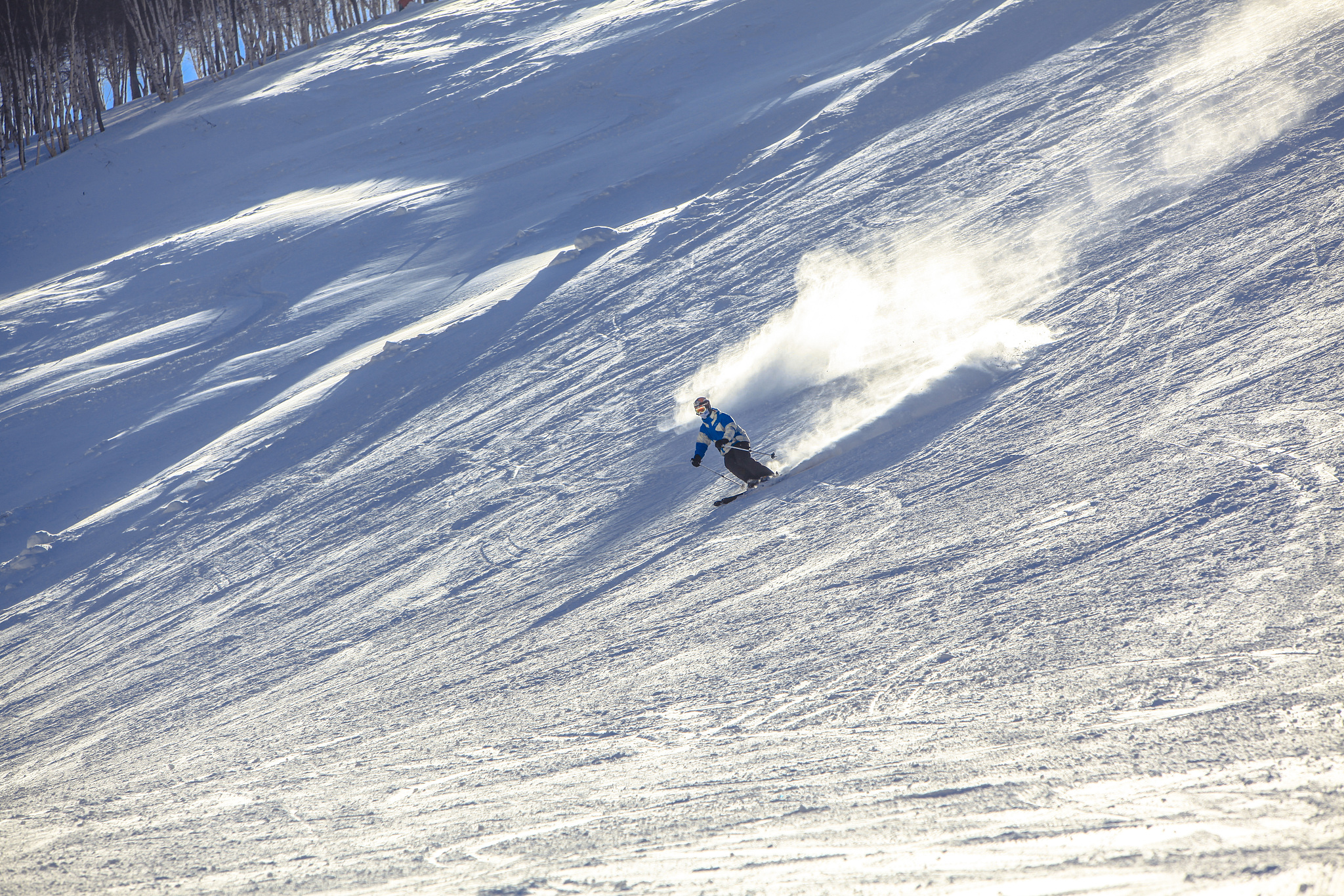 市区多功能滑雪场策划书 - 冬季滑雪滑冰，夏季轮滑冲浪