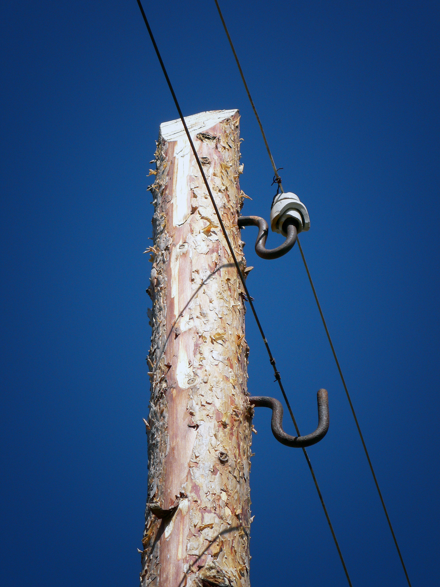 vintage single telephone pole
