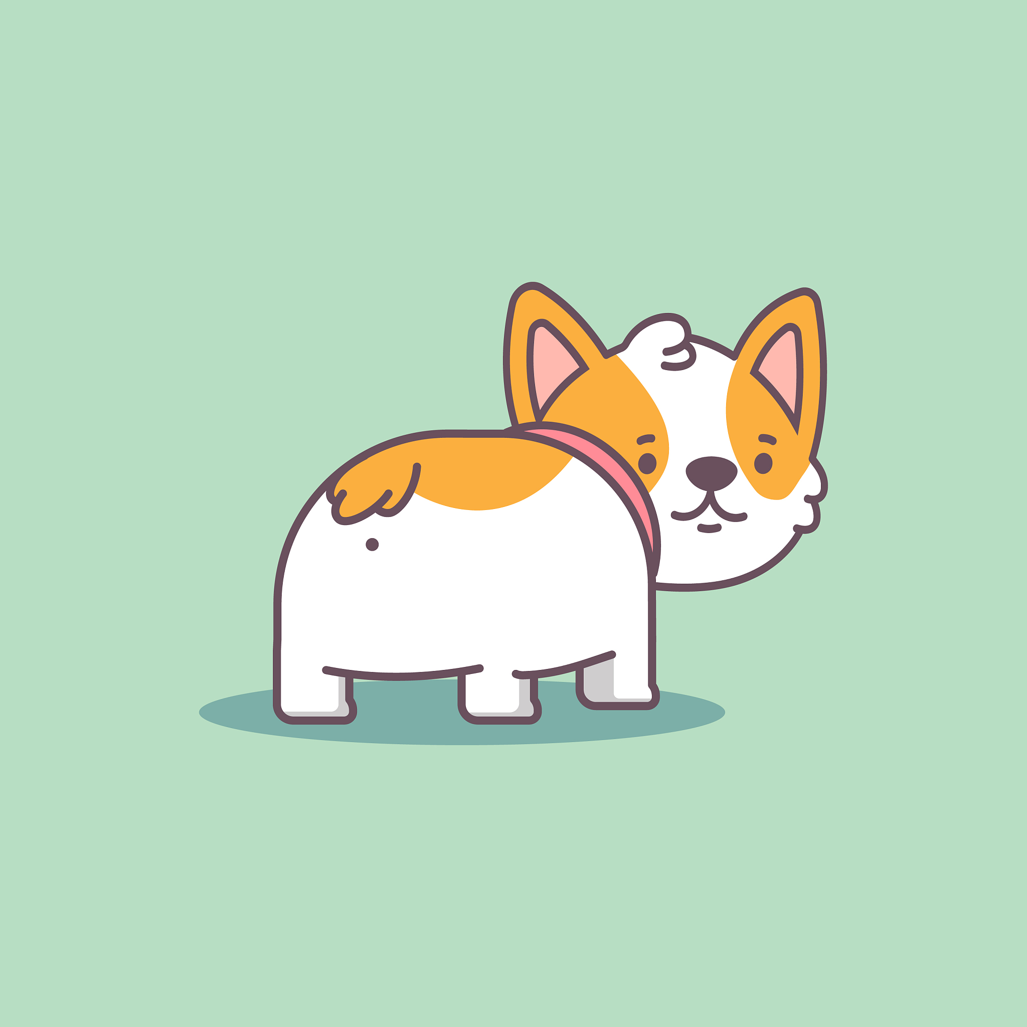 柯基可以吃冻干小鲨鱼吗