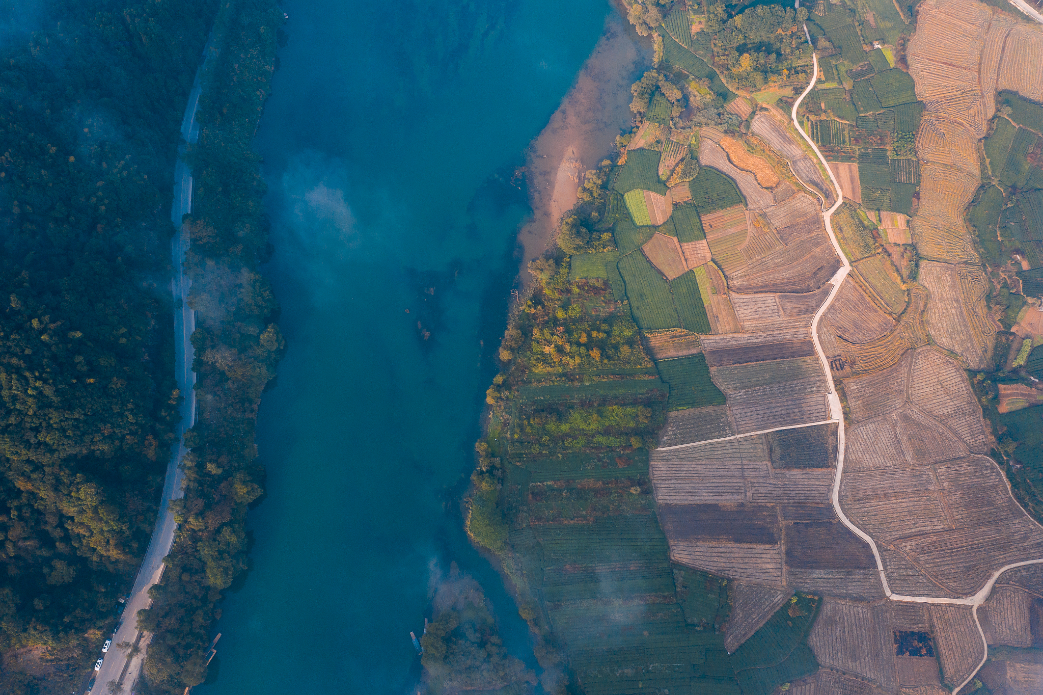 The West Wind's Lament: A Poetic Journey on Dongting Lake