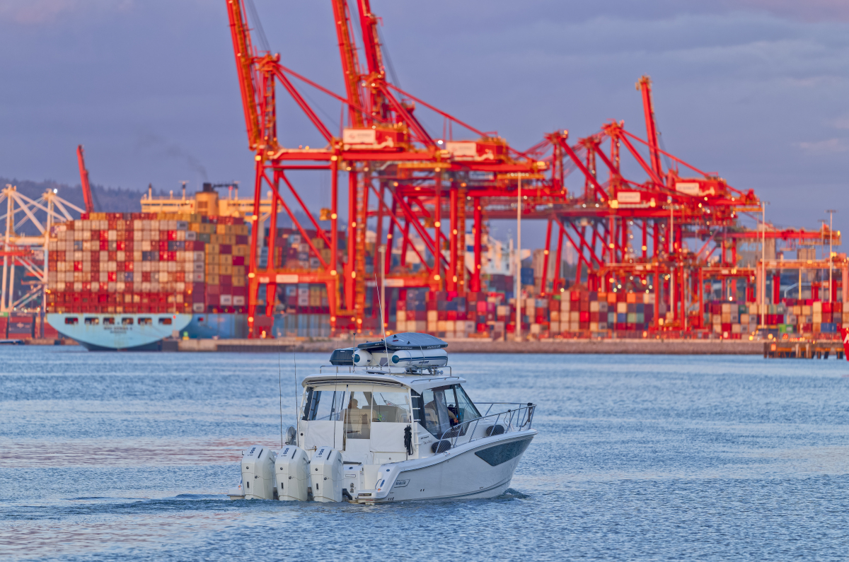 港口业务管理专科课程有哪些用