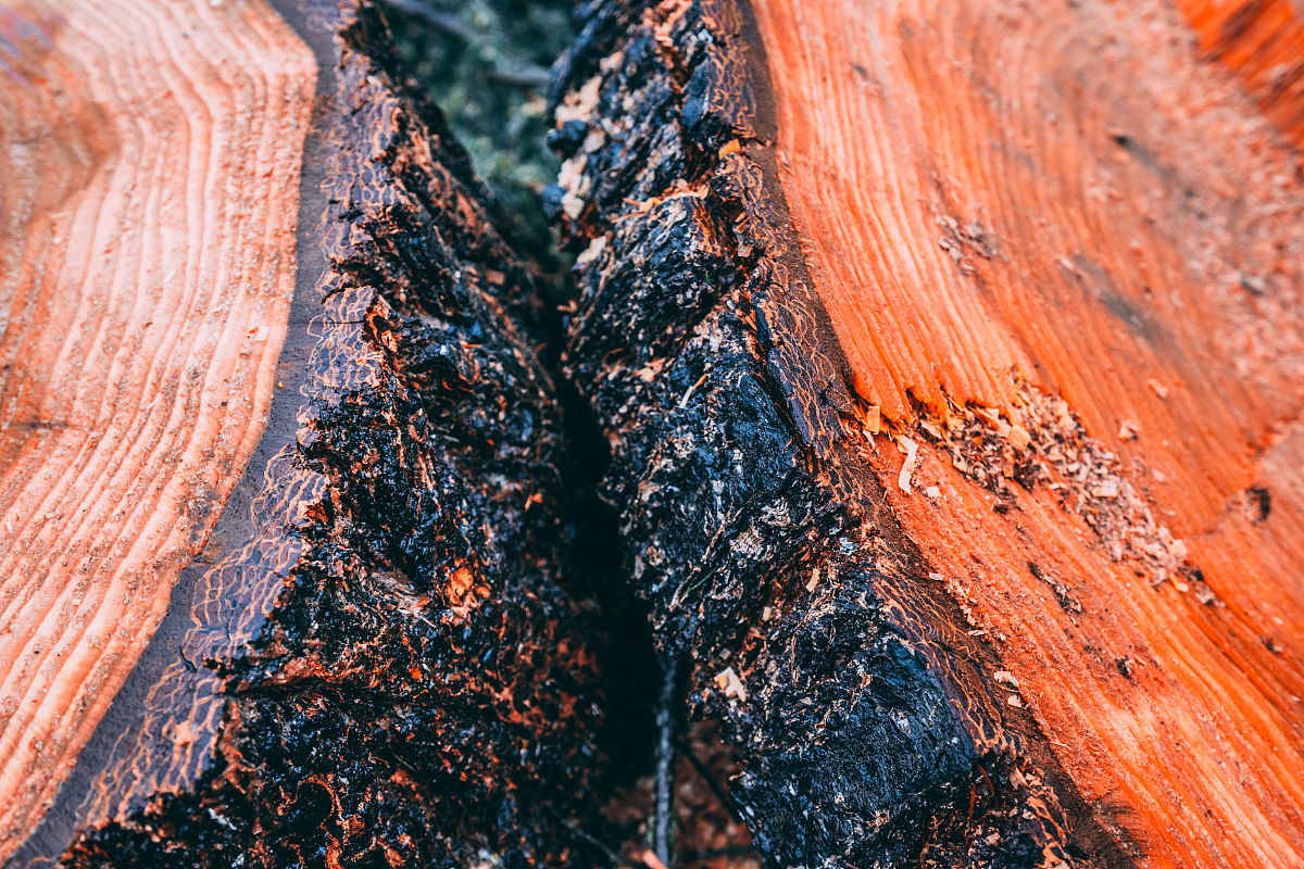安全基线：构建安全网络与系统的基础