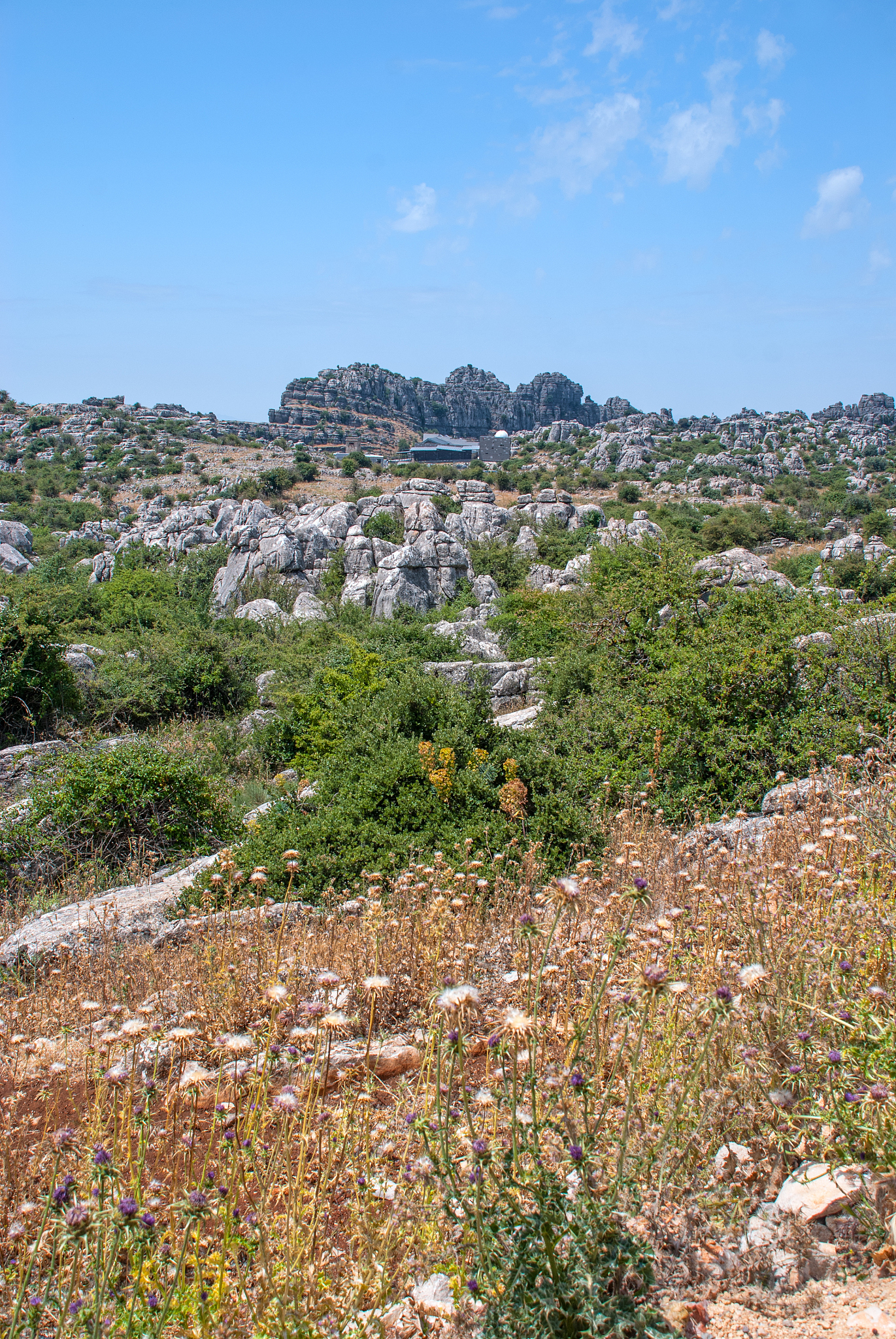 karst rock formations
