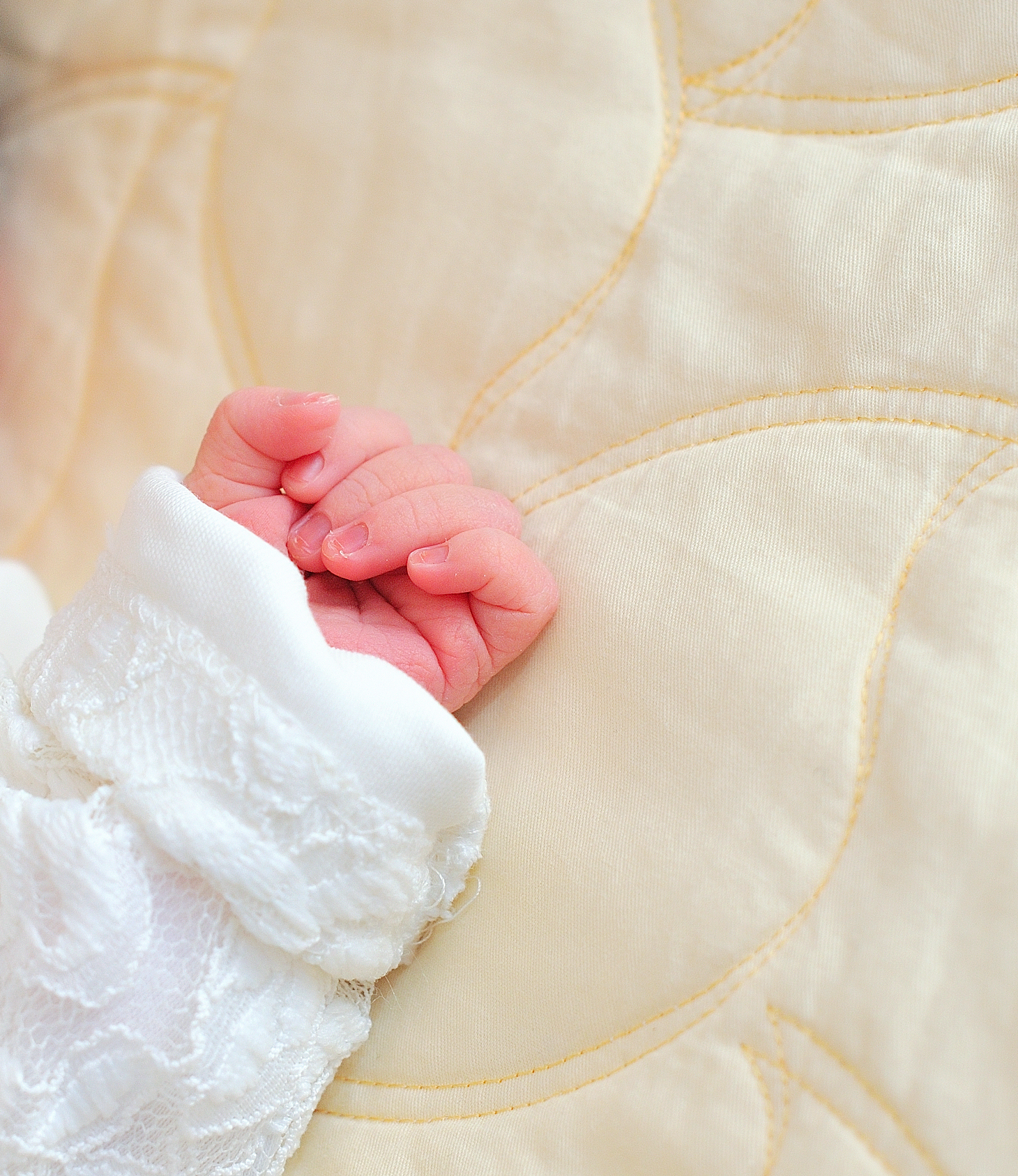 hand of a baby.