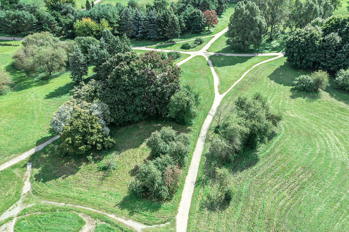 广州造林绿化与热岛效应缓解：生态学方法的应用