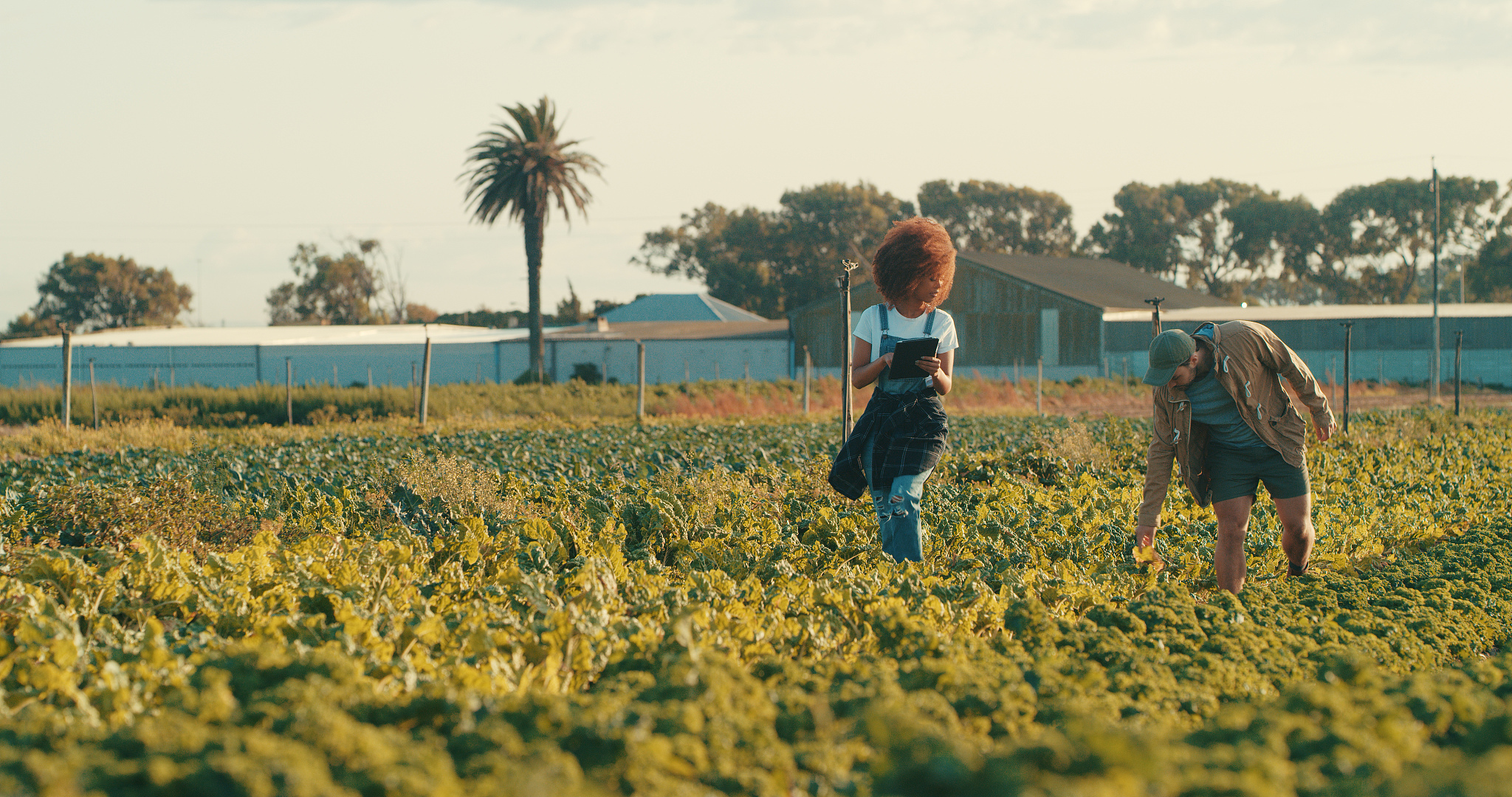 重庆农业机械化学校2022年开设了什么专业