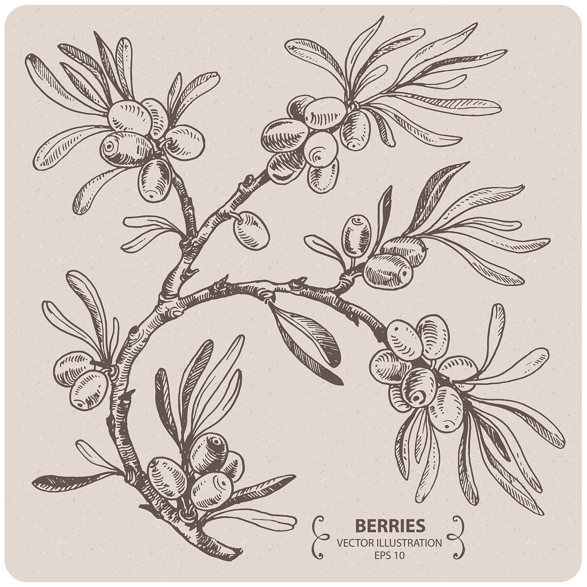 50个鼎鑫天然沙棘手工精油皂百度经常问的标题