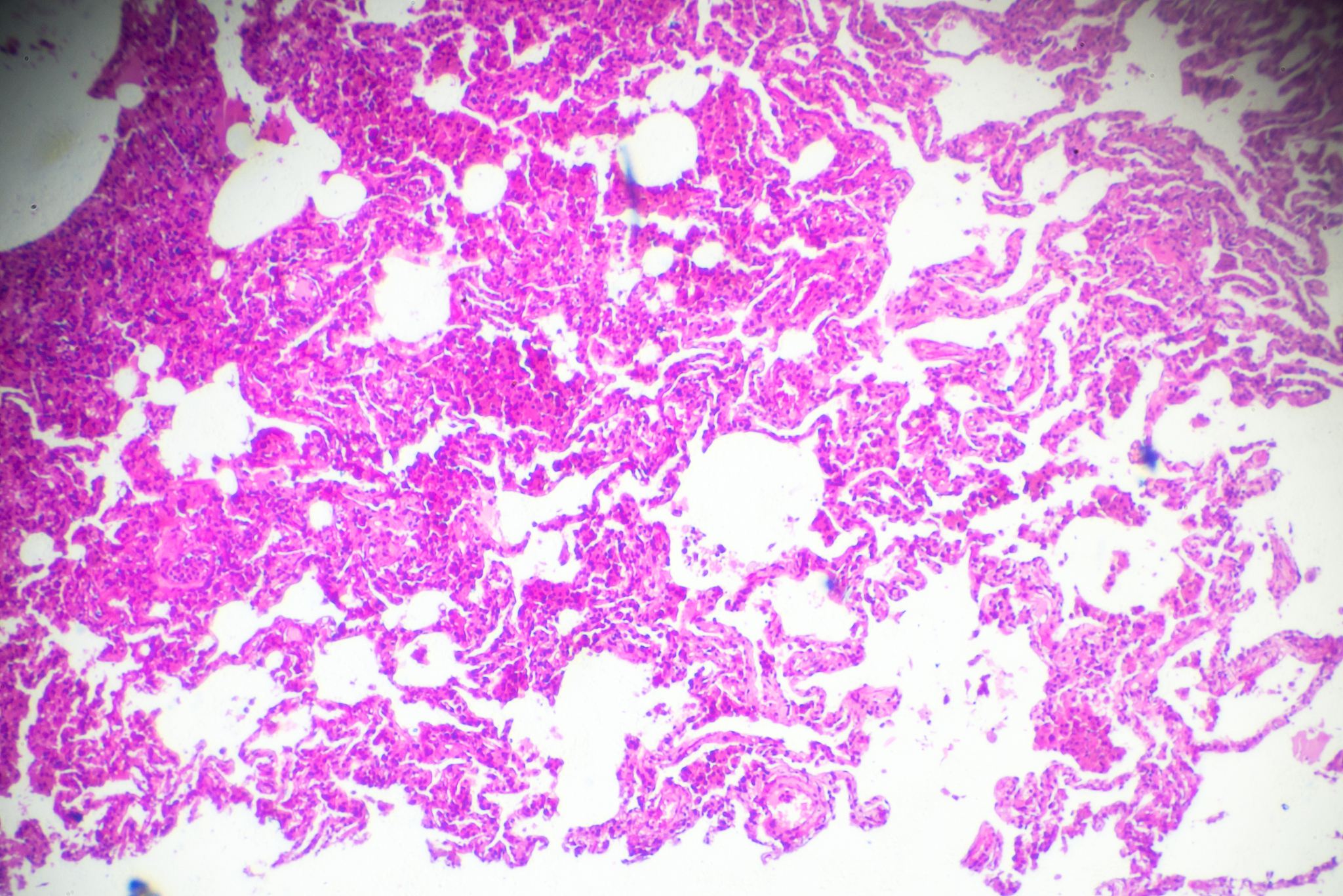 对于一次函数应该如何进行单元整体教学设计提高教学质量增强与学生的交流互动1500字