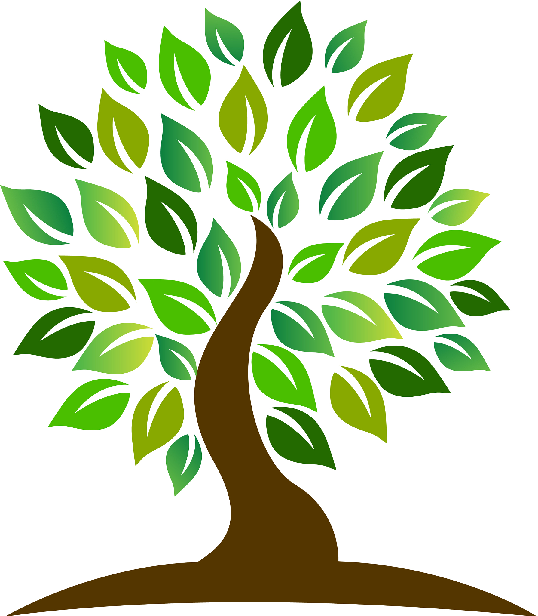 tree logo