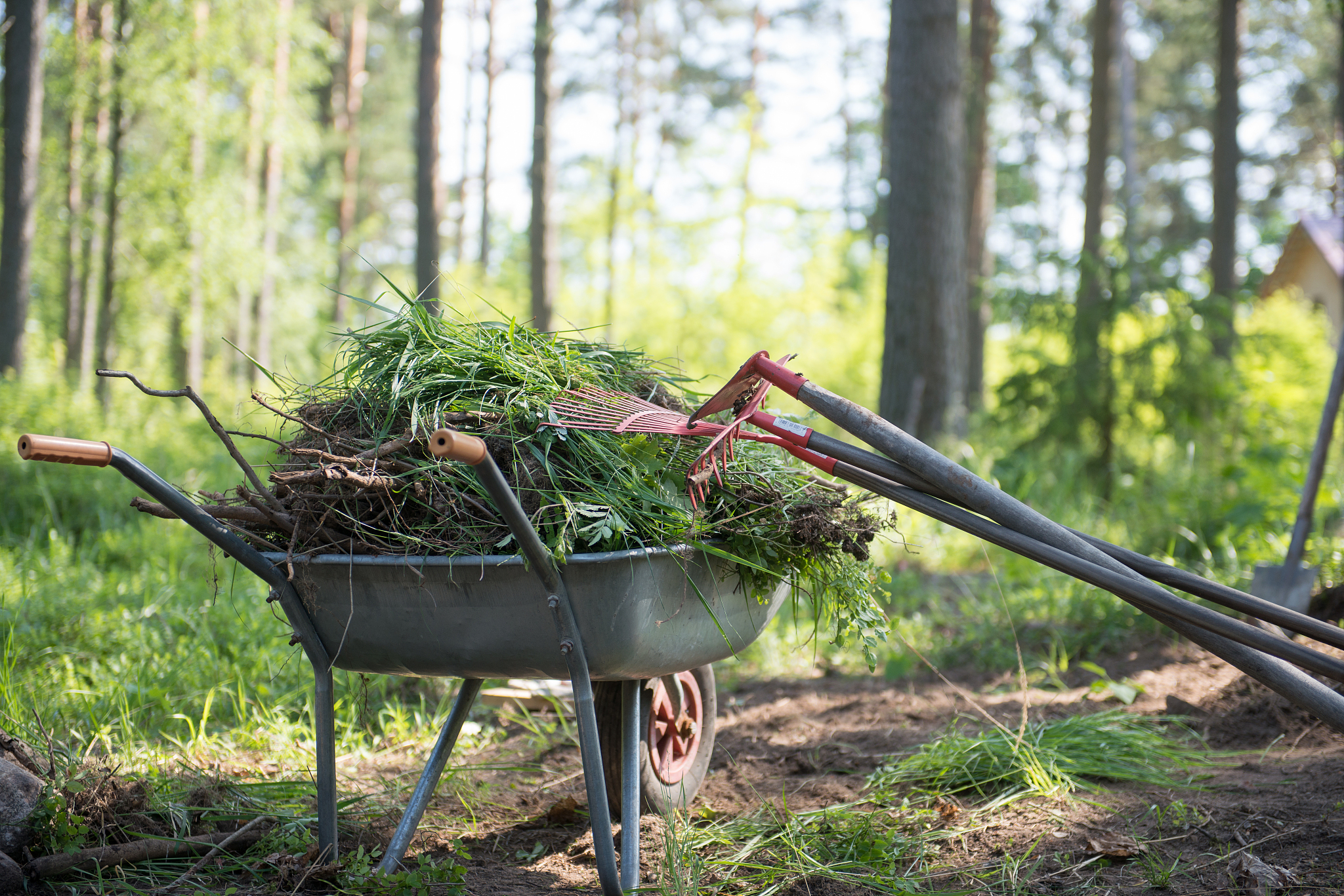 重庆市北碚职业教育中心园林技术专业优势怎么样发展前景好不好呢