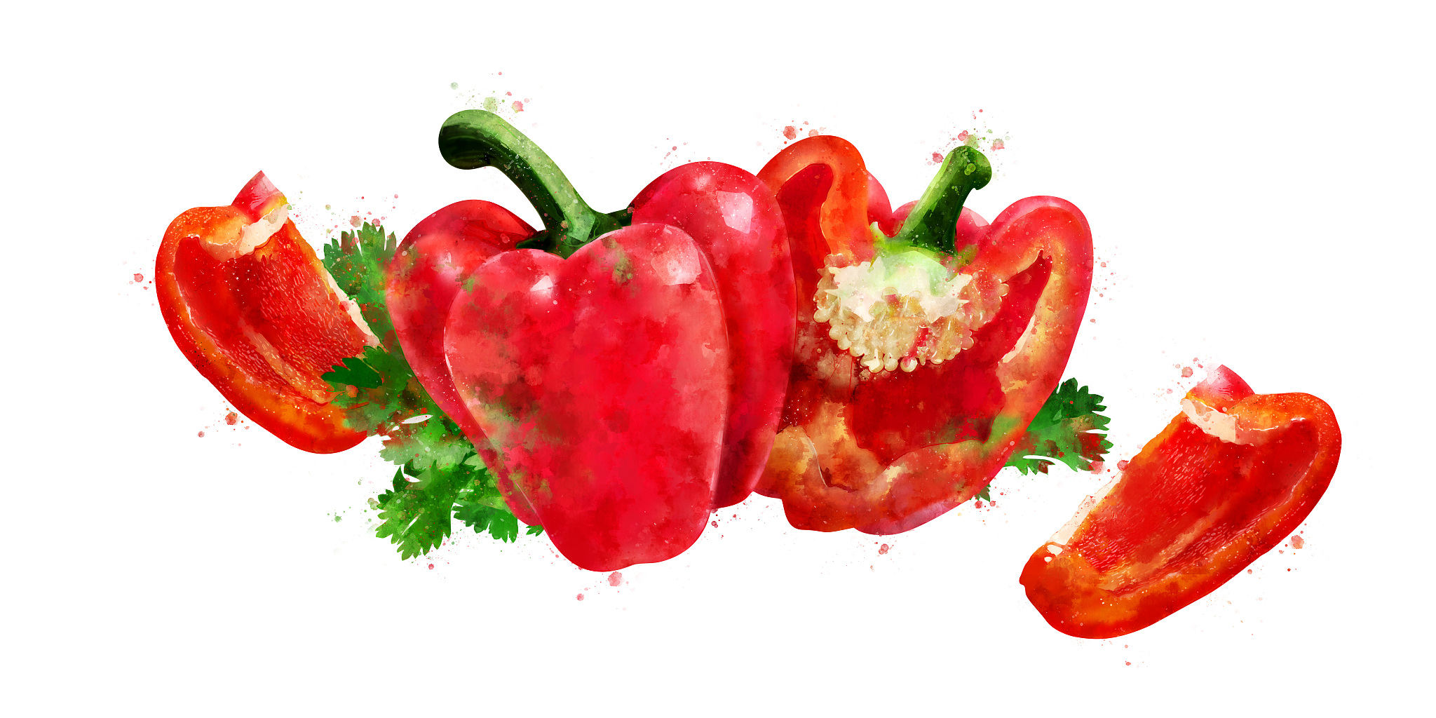 蔬菜配送合同模板