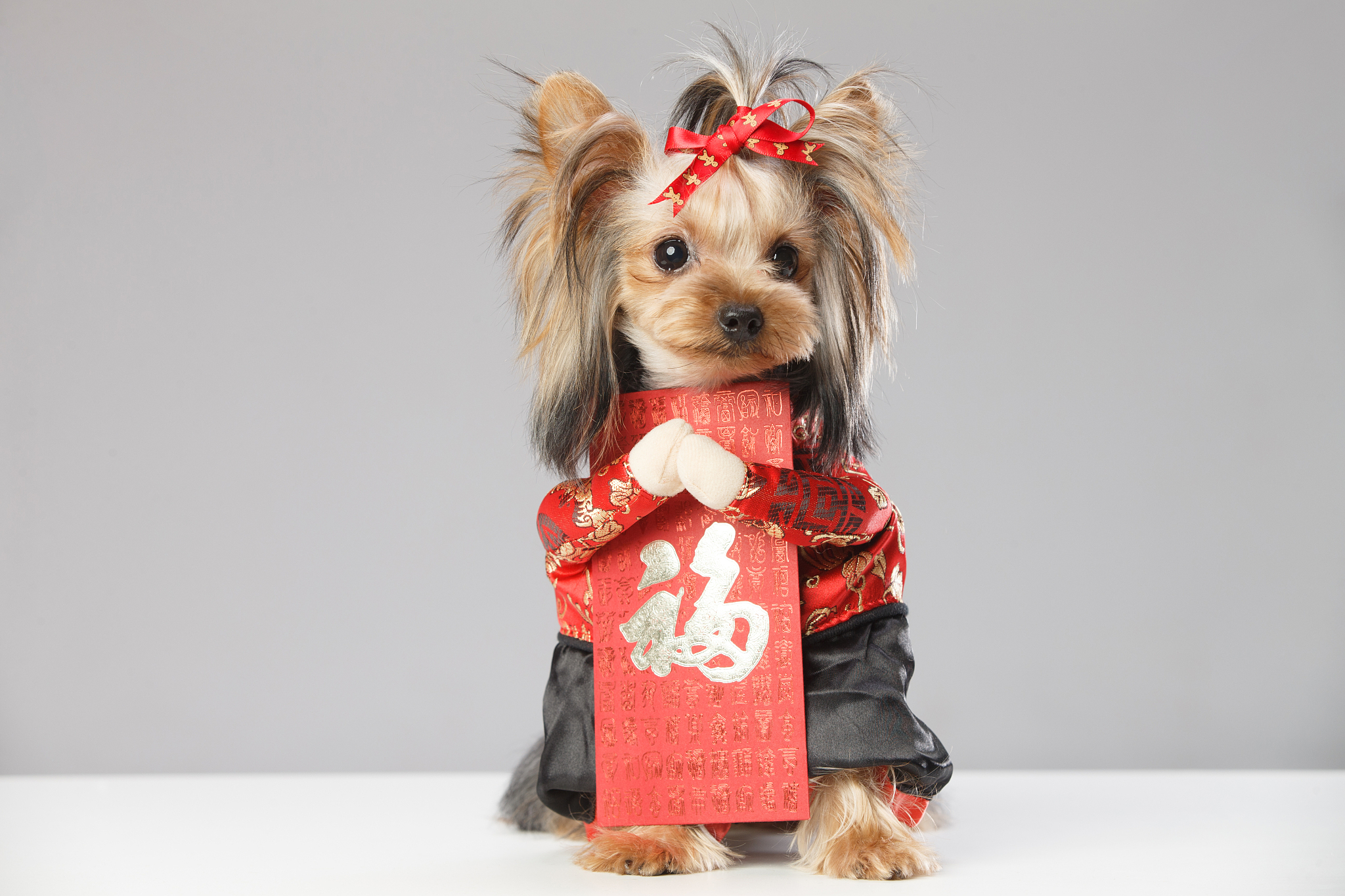 情绪容易失常 猜 什么生肖帮我用200字详细描述