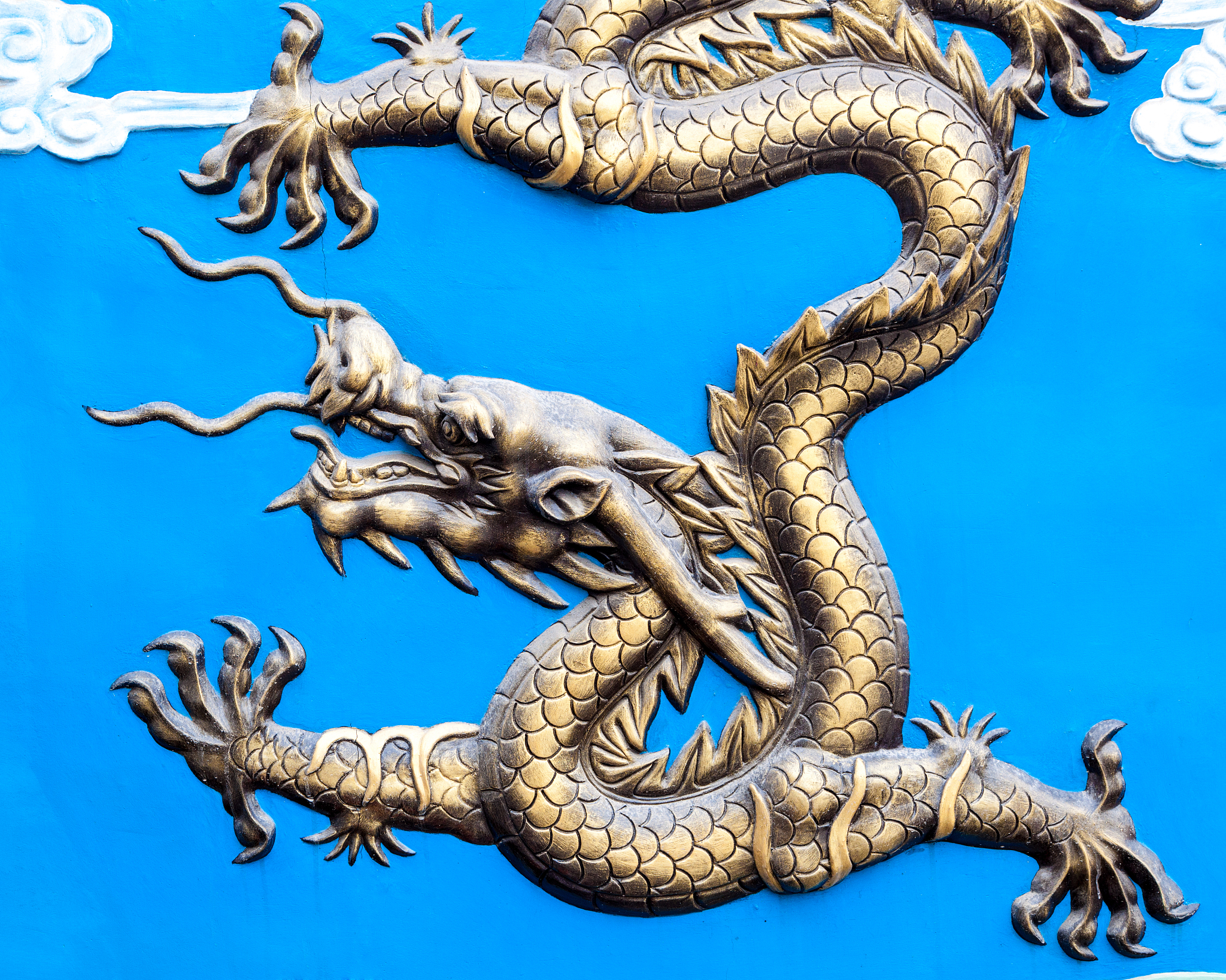 dragon