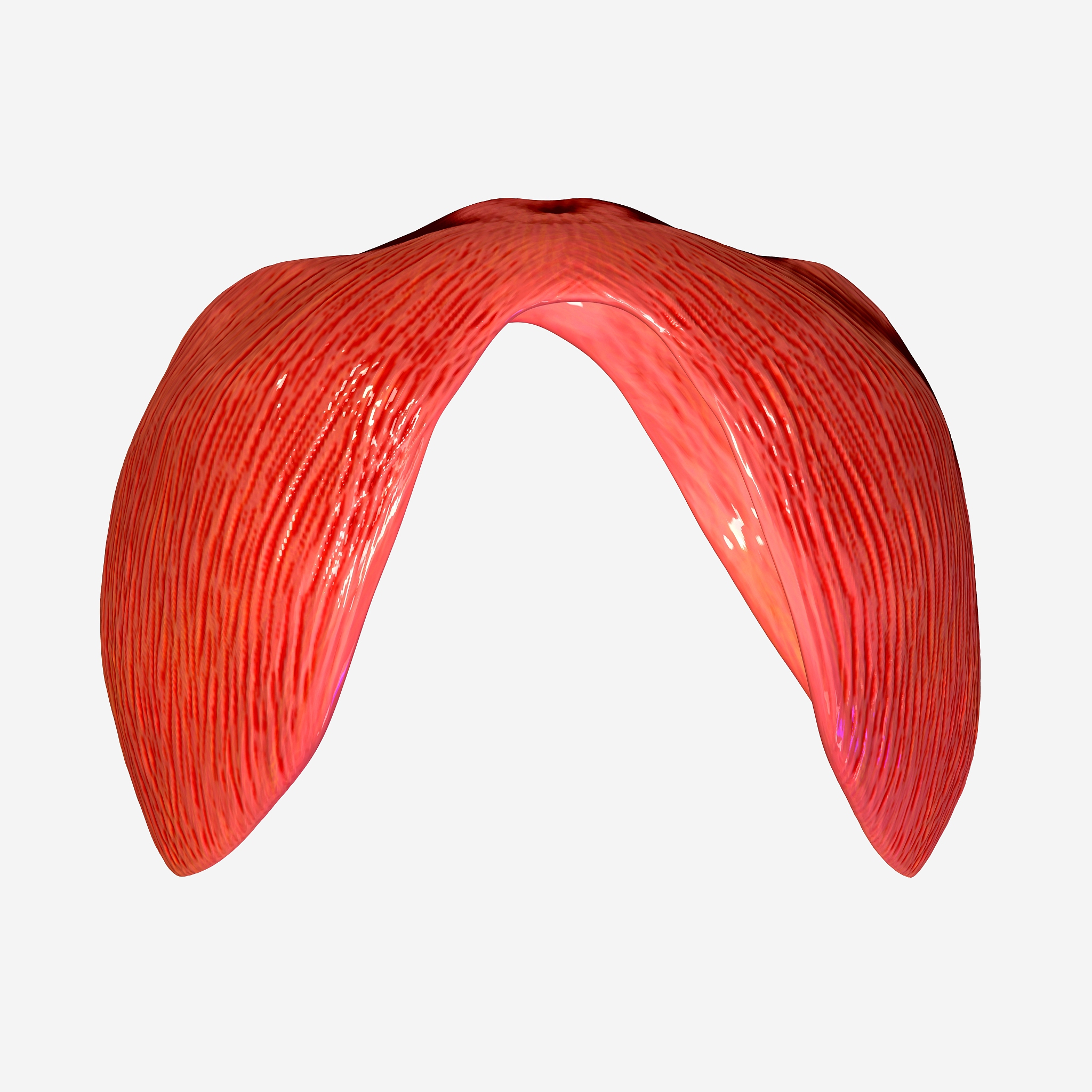 吸烟对力量有什么影响