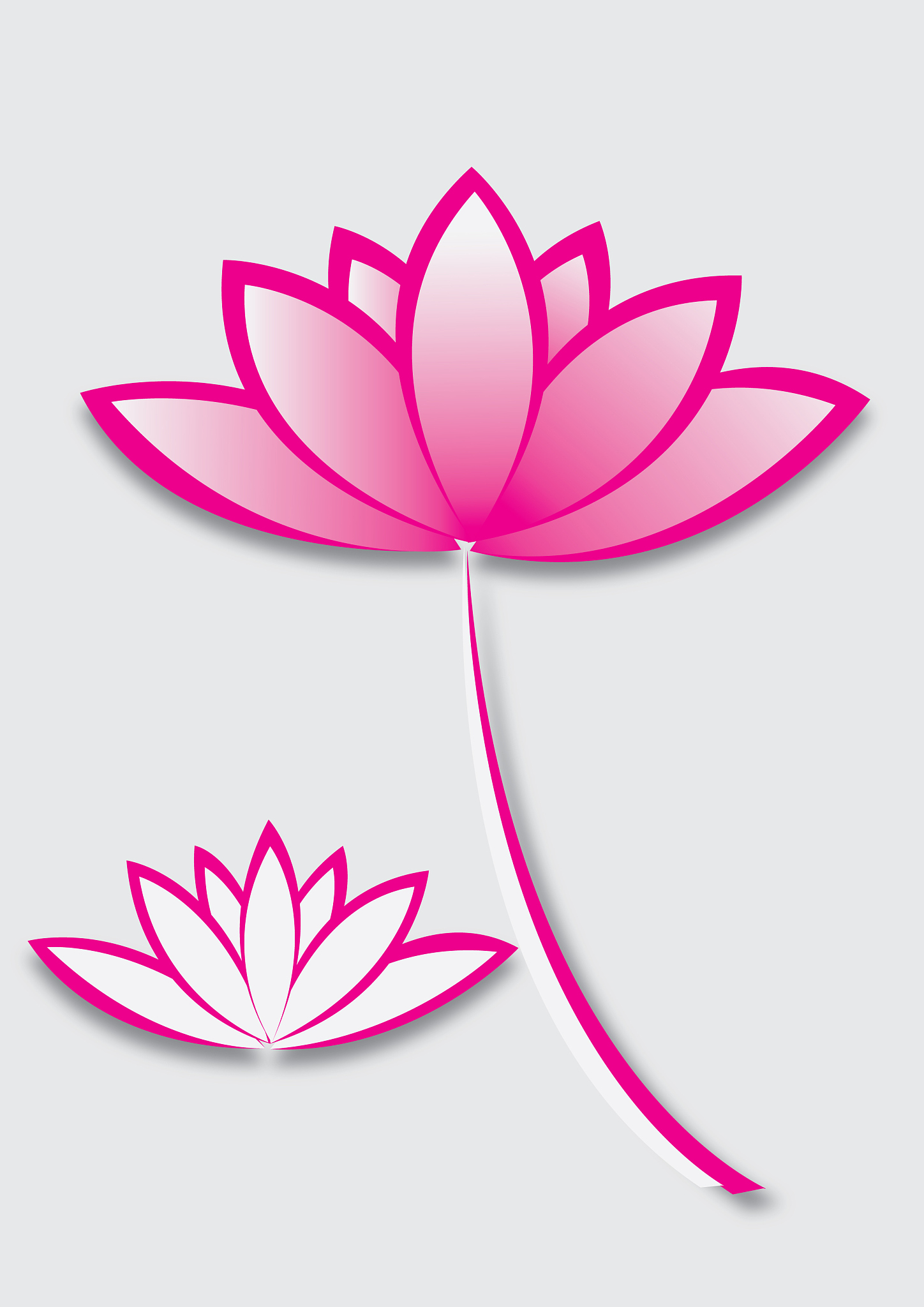 苹果手机录制的视频在剪影编辑过后为什么在电脑上放颜色变成了粉色了呢帮我用200字详细描述