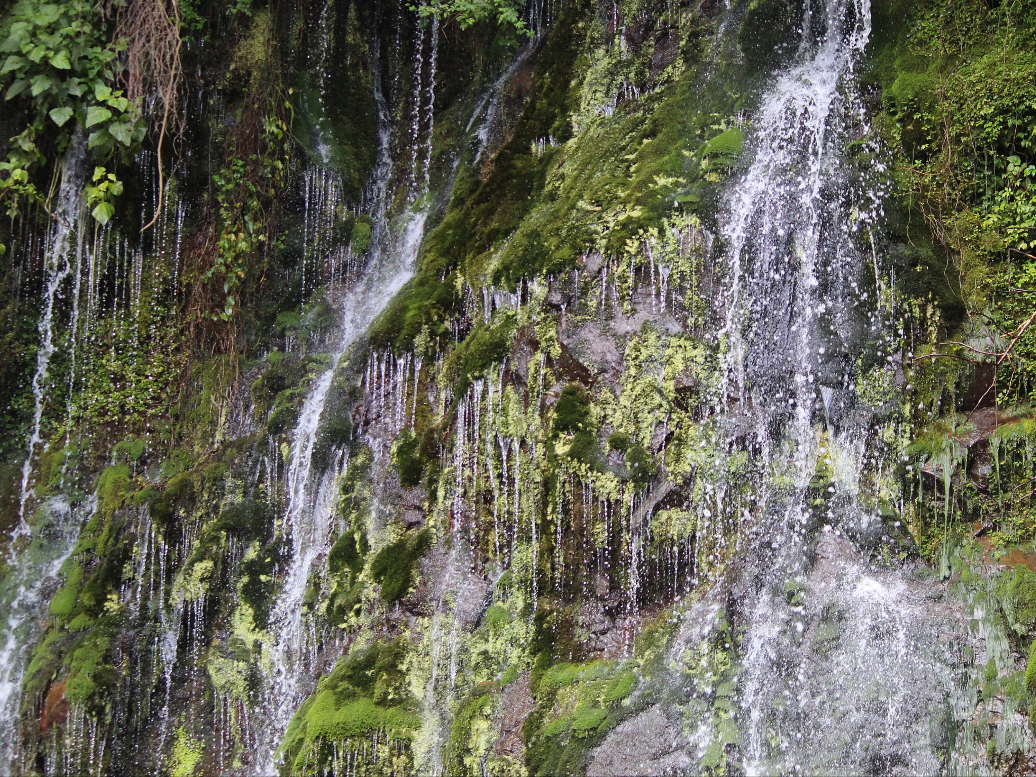 生物圈的特点和影响字数一千字