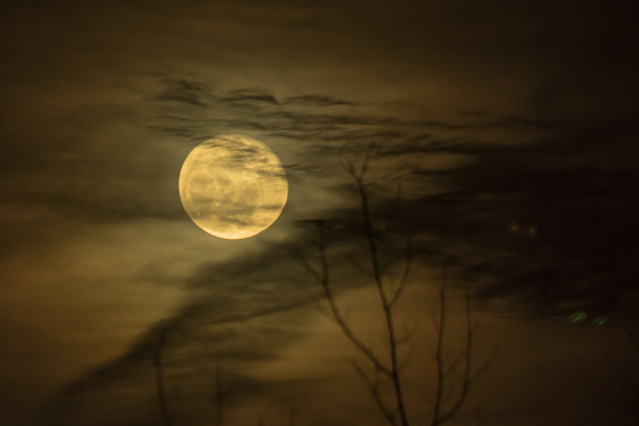 奈何明月照沟渠 - 翻译及解读