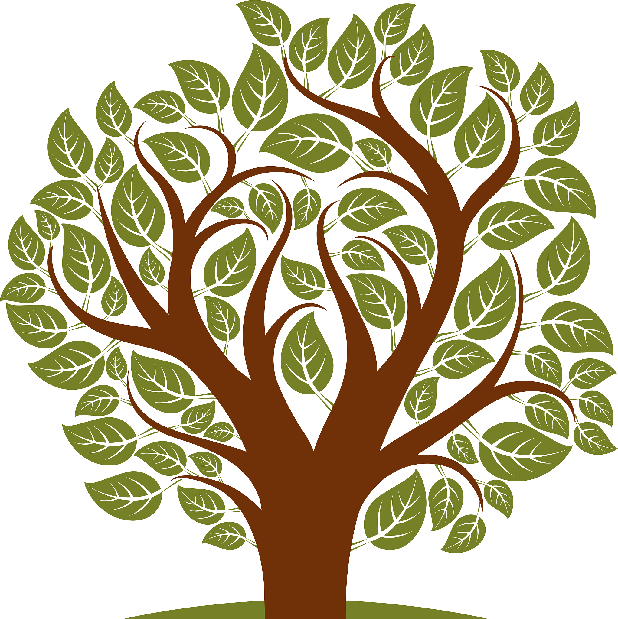 vector illustration of spring tree with branches