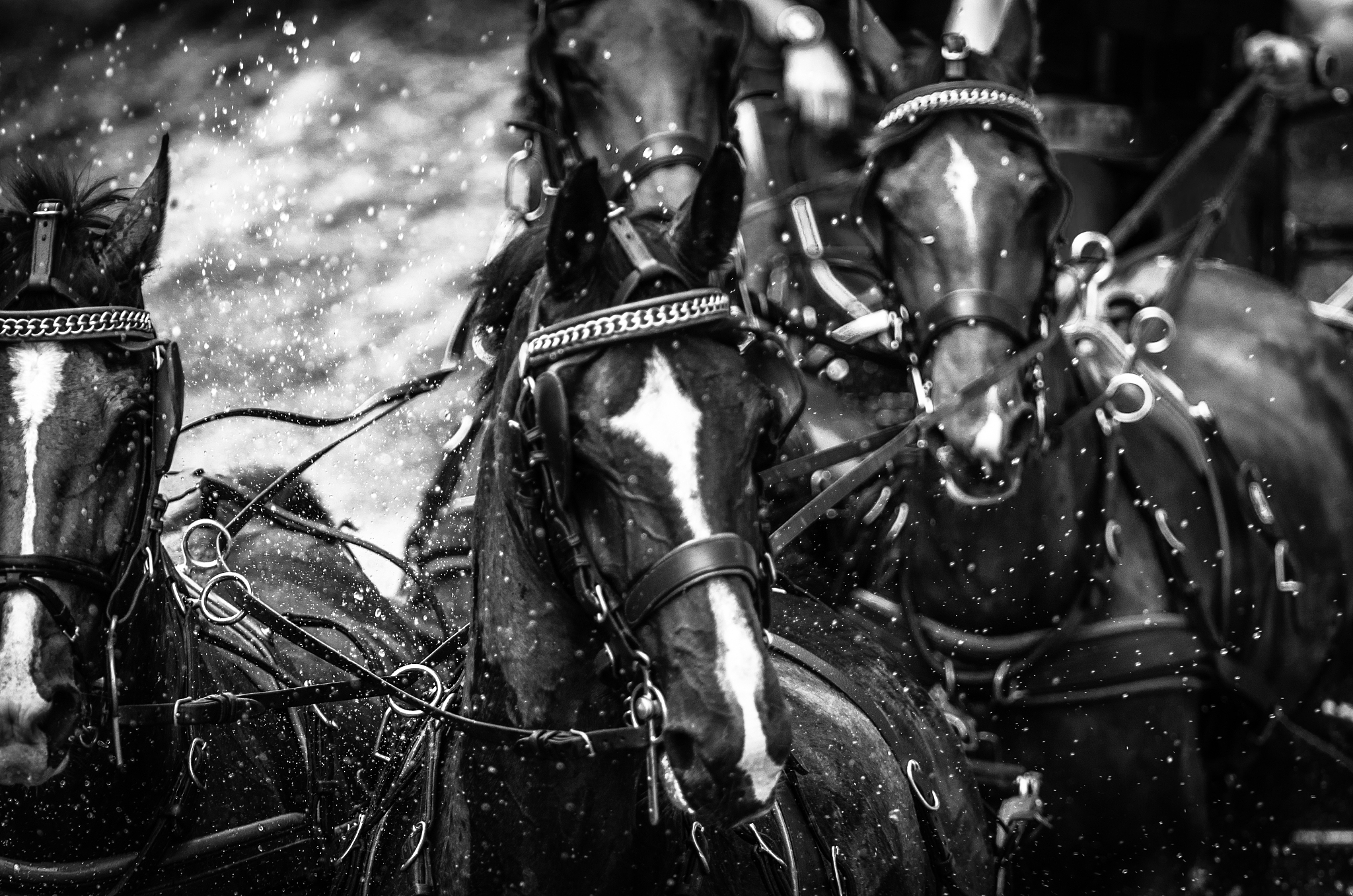 horse power
