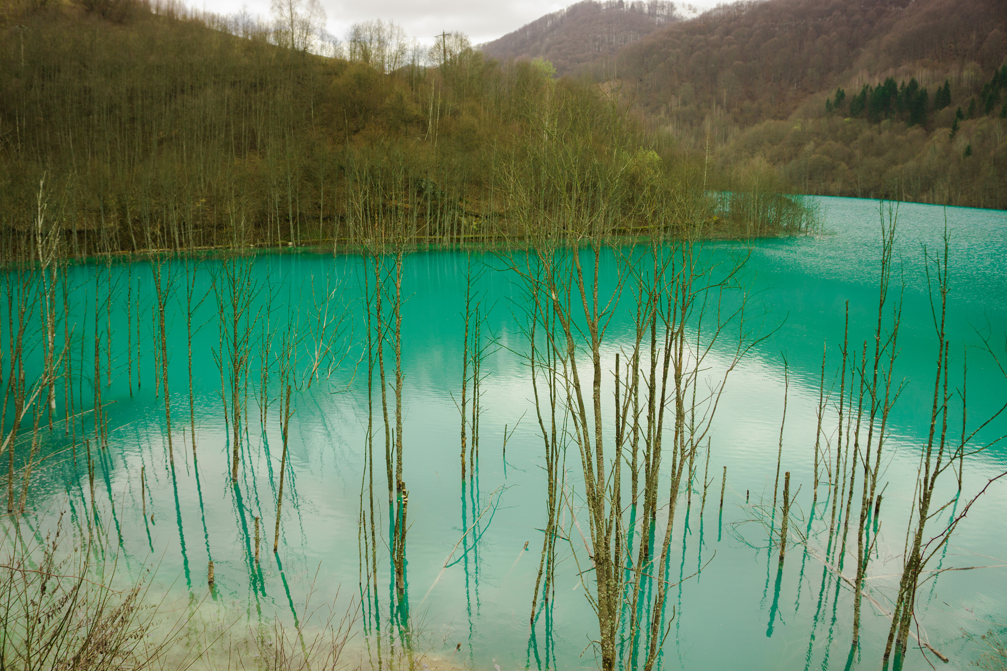 pollution water