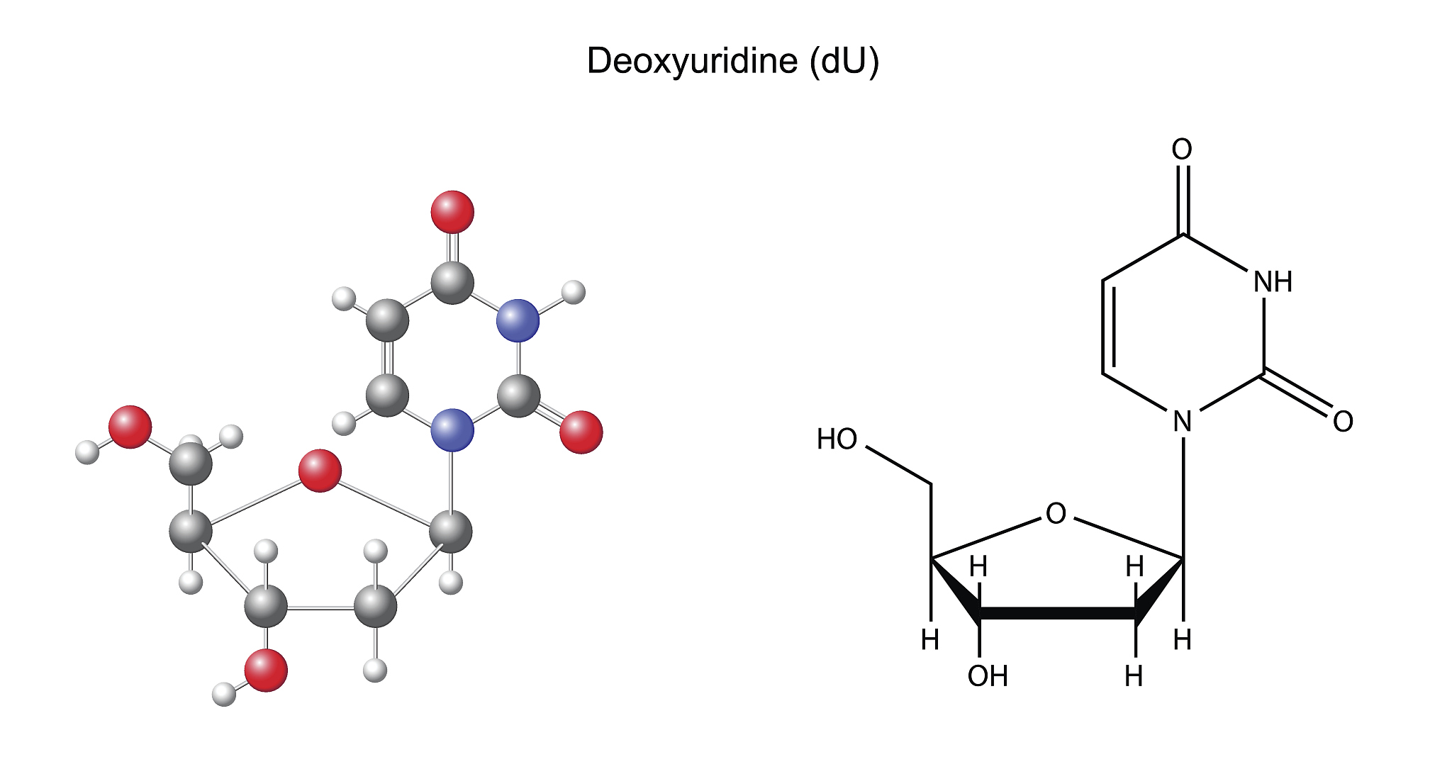 靶向O-GlcNAc修饰的中药成分: 最新研究进展