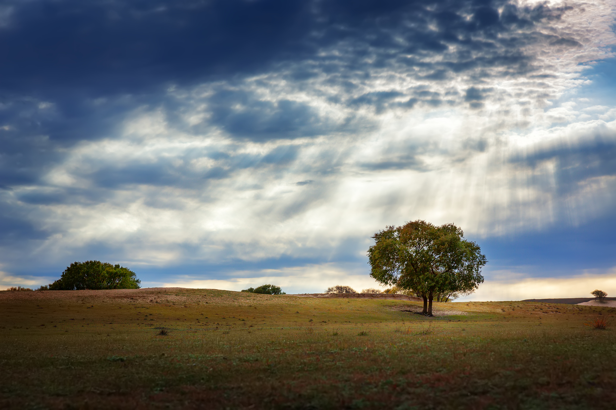 村上春树：孤独的真相是什么？如何面对人生的孤独？
